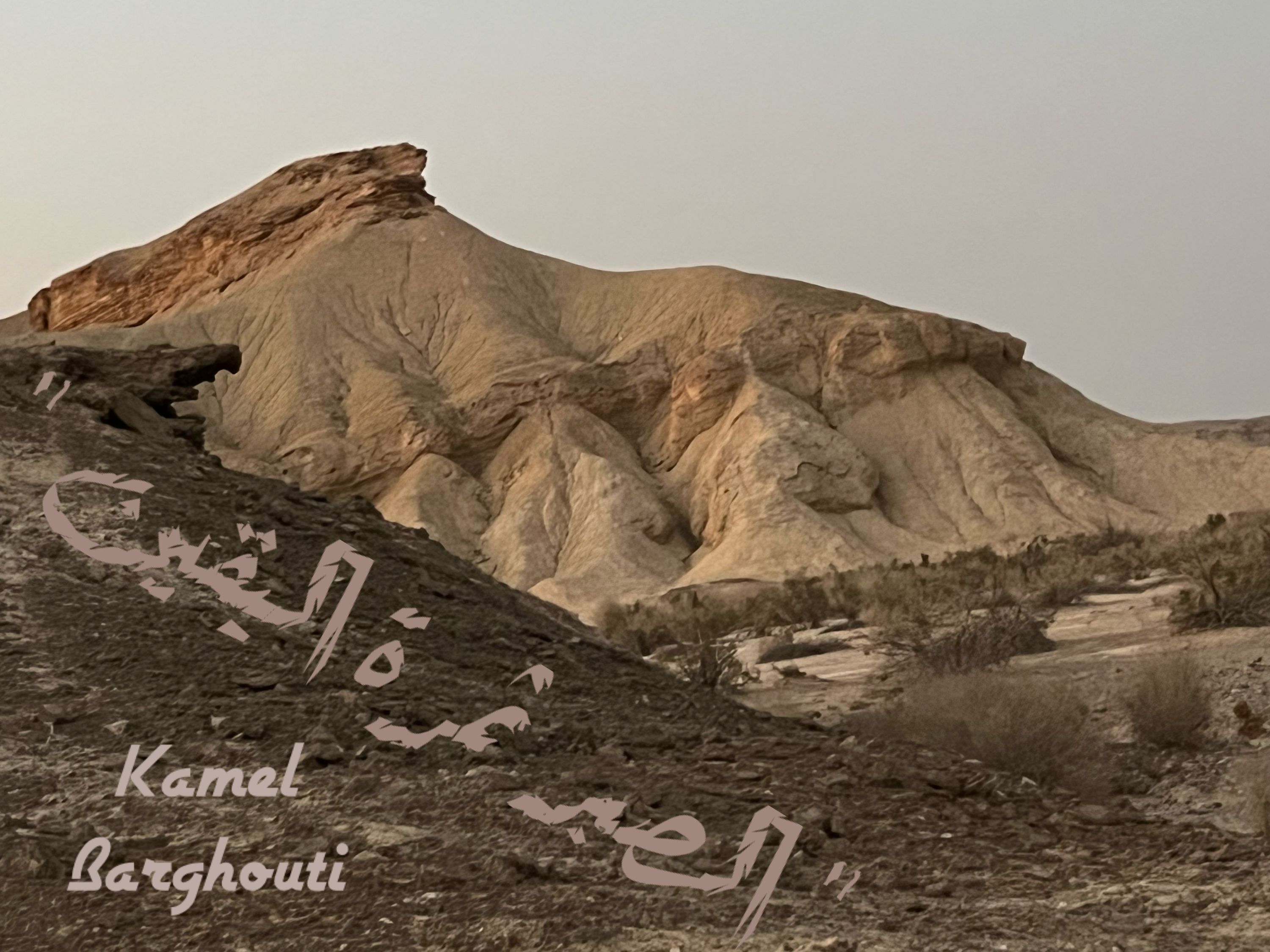 Image 38
