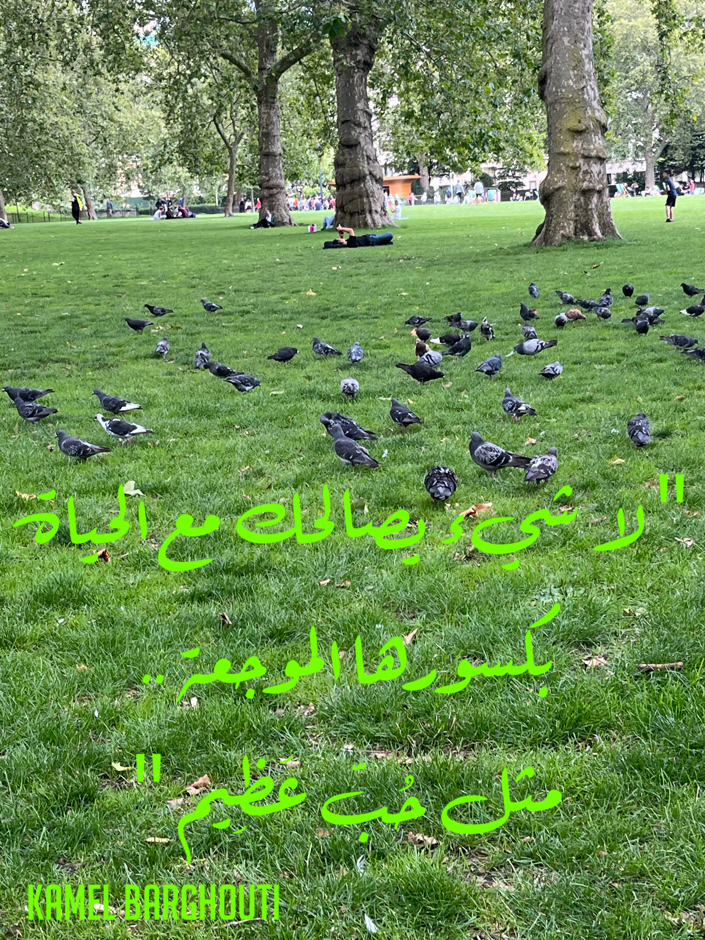 Image 23