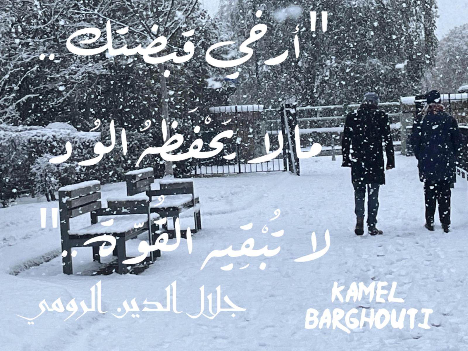 Beautiful Talk – quote 810