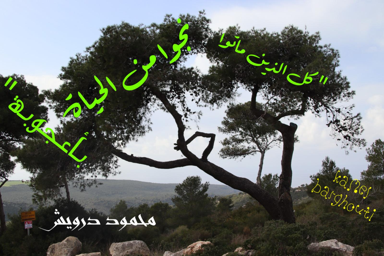 Beautiful Talk – quote 803