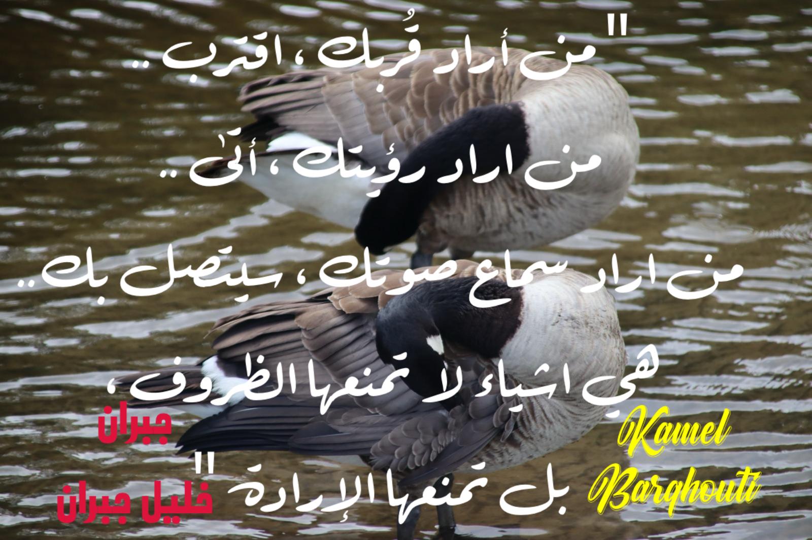 Beautiful Talk – quote 811