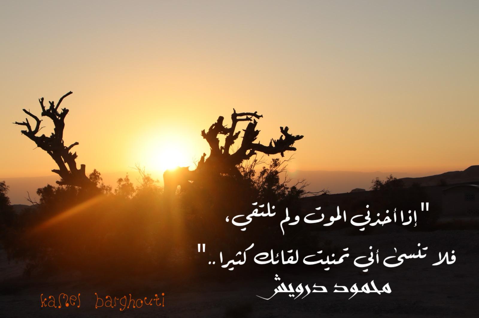 Beautiful Talk – quote 801