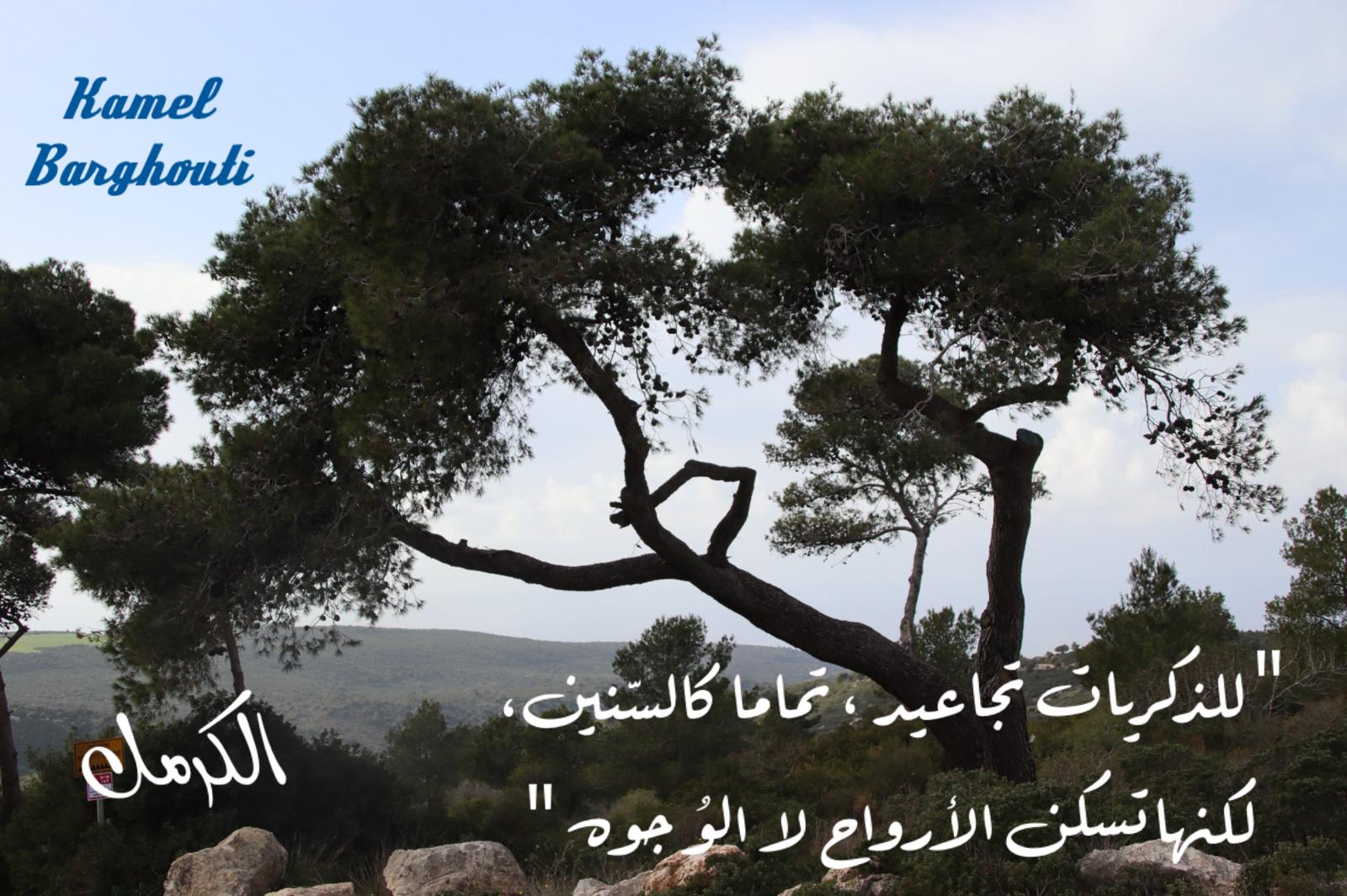 Beautiful Talk – quote 766