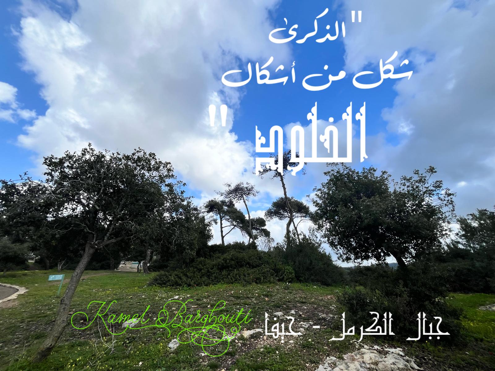 Beautiful Talk – quote 764