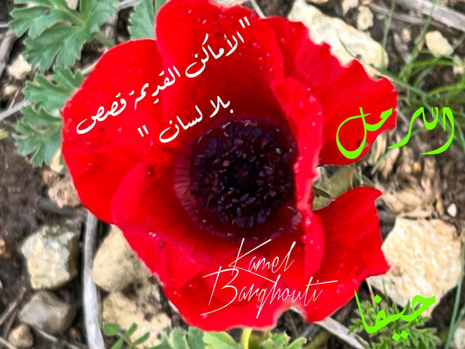 Beautiful Talk – quote 765