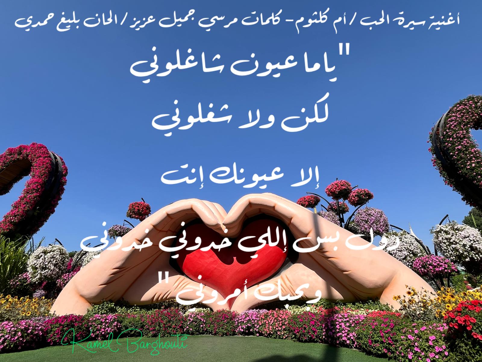 Beautiful Talk – quote 748