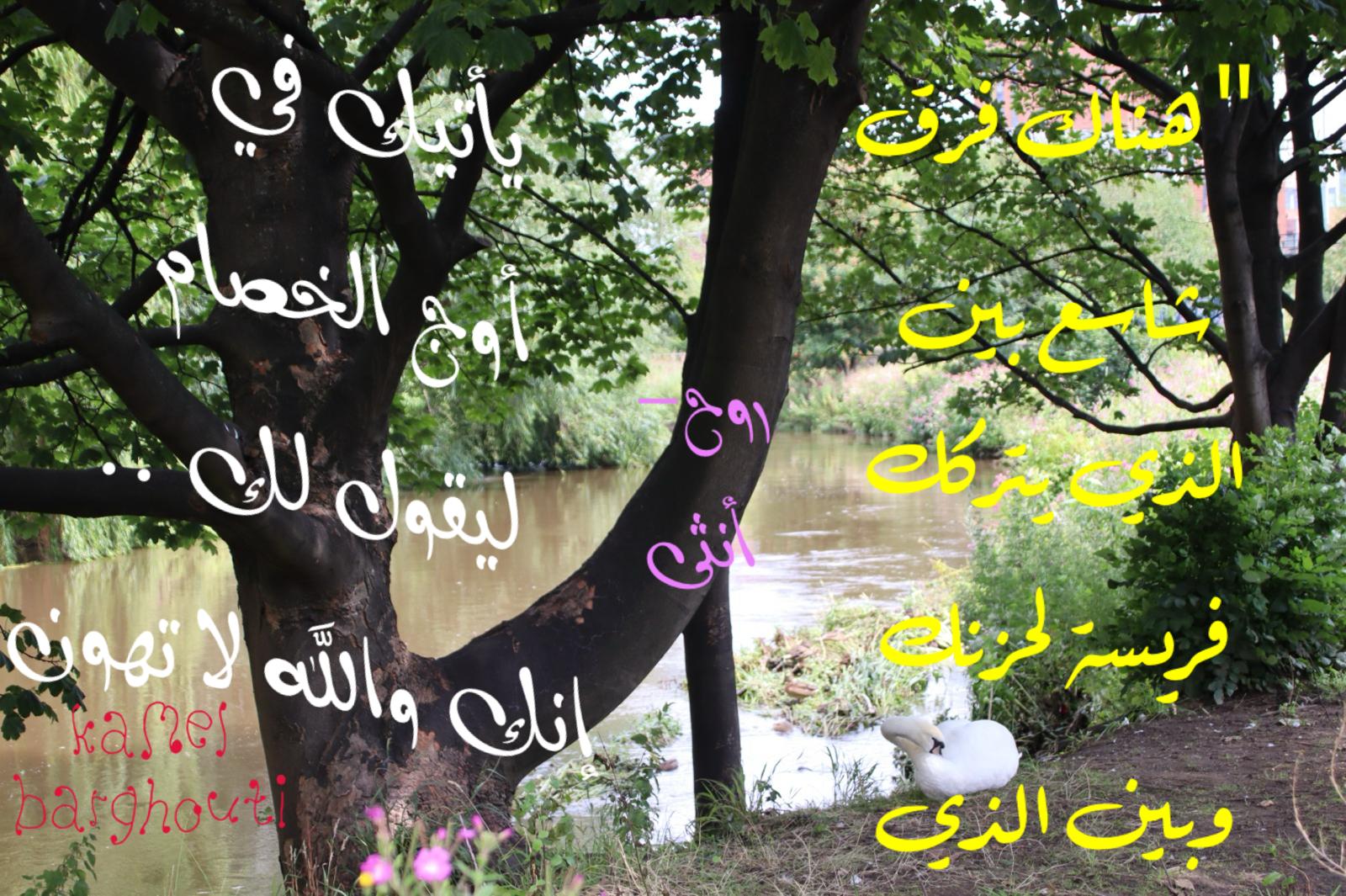 Beautiful Talk – quote 740