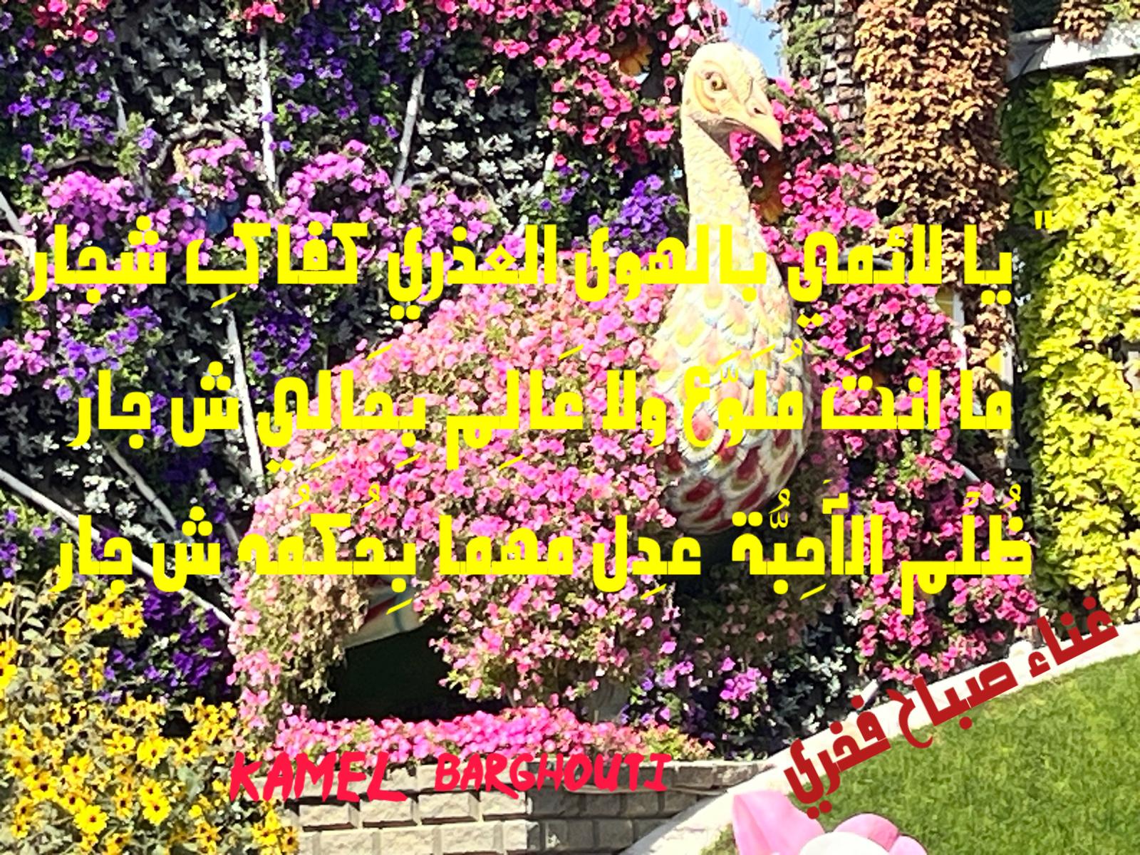 Beautiful Talk – quote 723