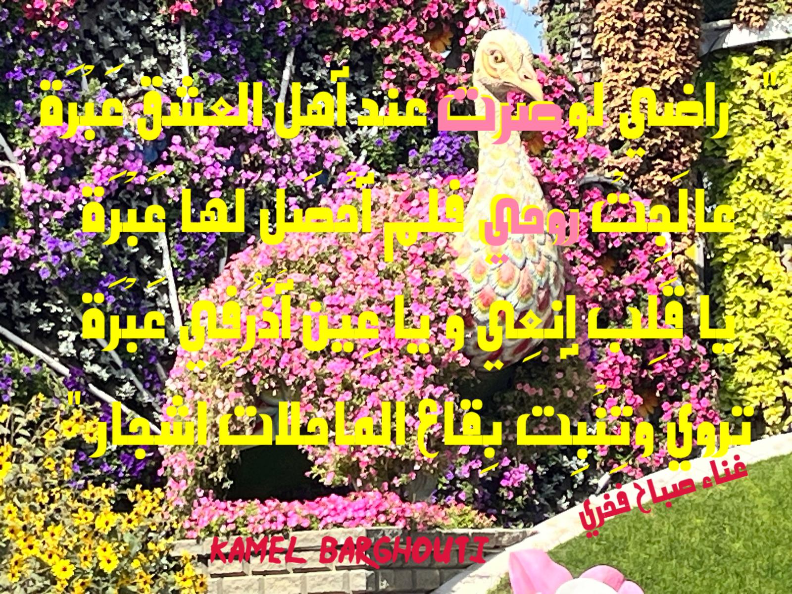 Beautiful Talk – quote 724