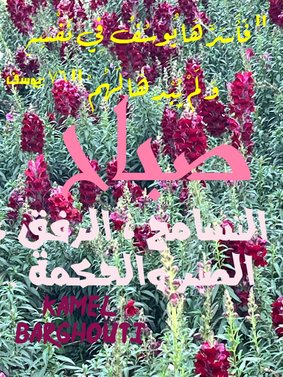 Beautiful Talk – quote 732
