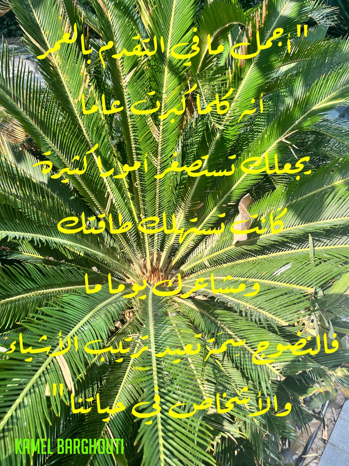 Beautiful Talk – quote 737