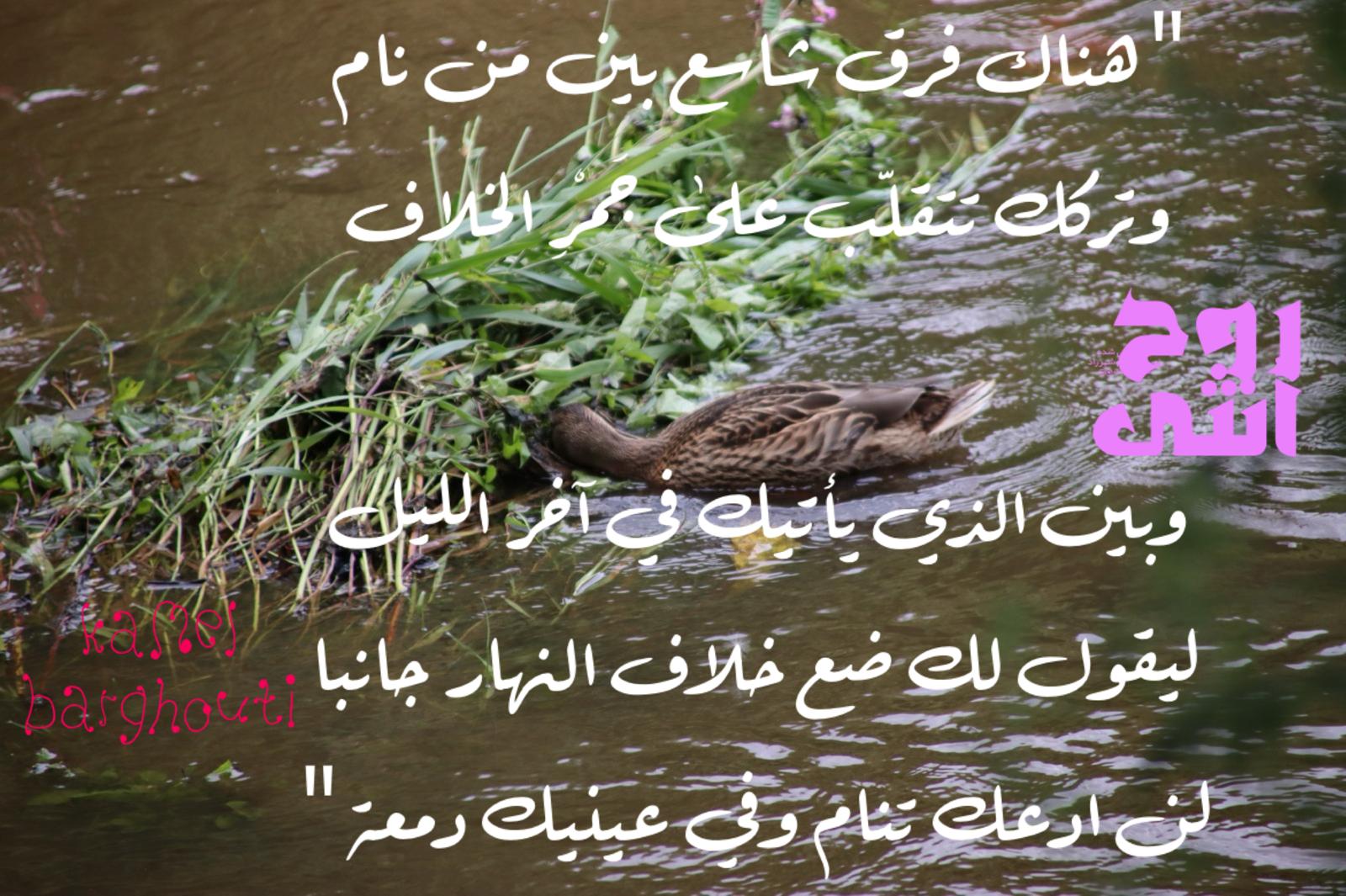 Beautiful Talk – quote 719