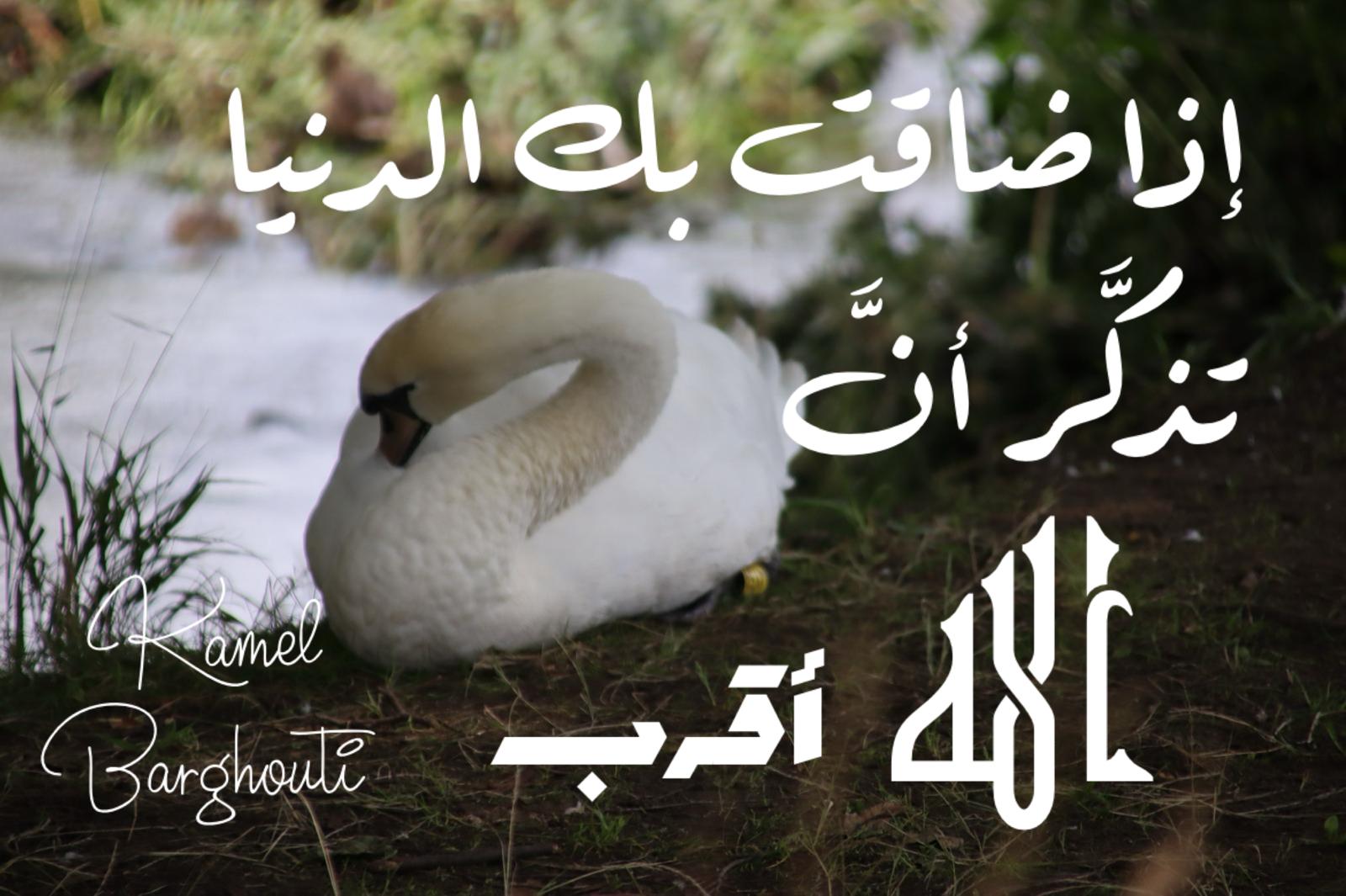Beautiful Talk – quote 682
