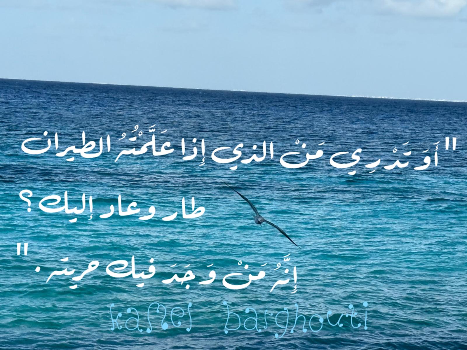 Beautiful Talk – quote 647