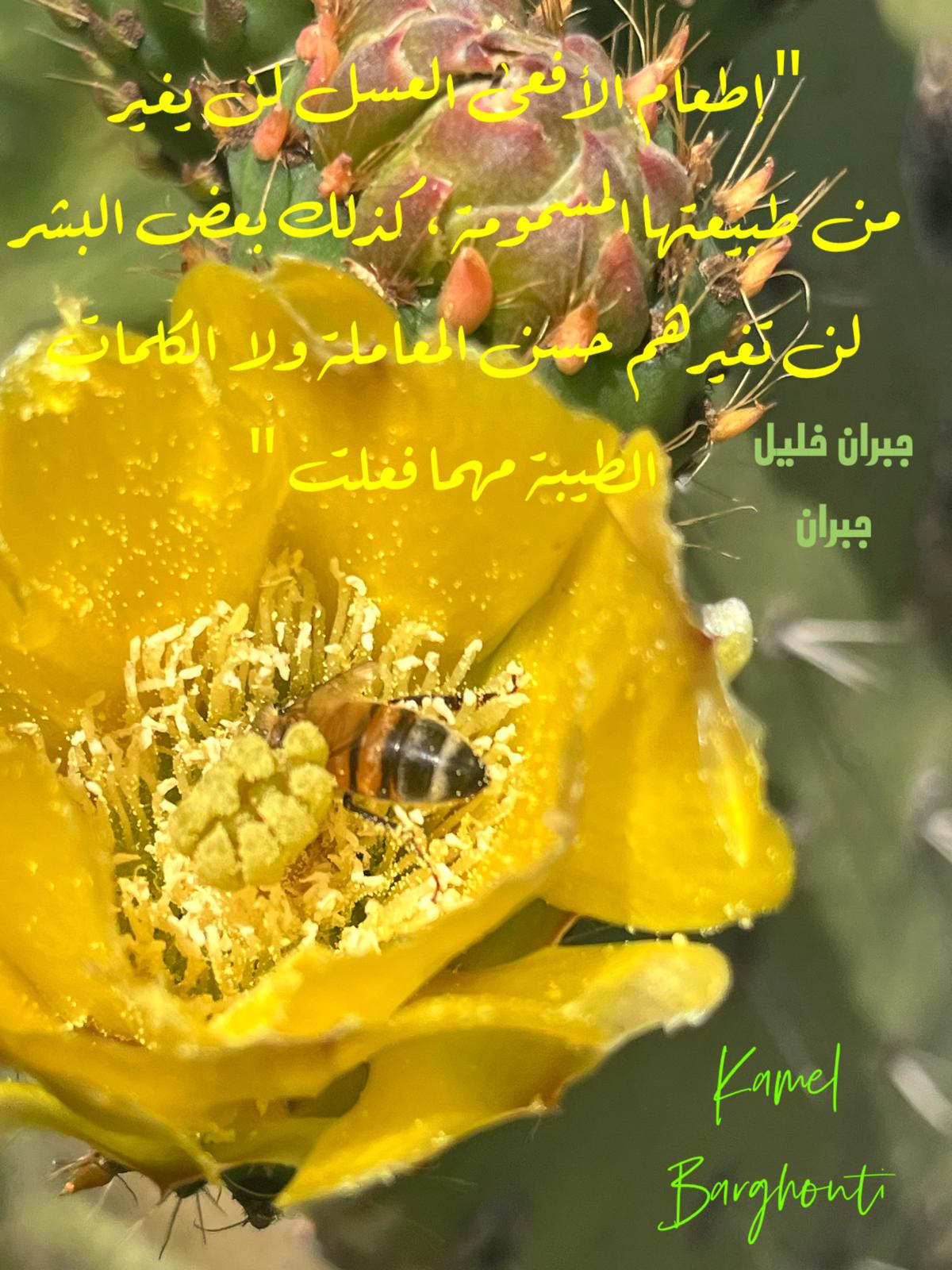 Beautiful Talk – quote 648
