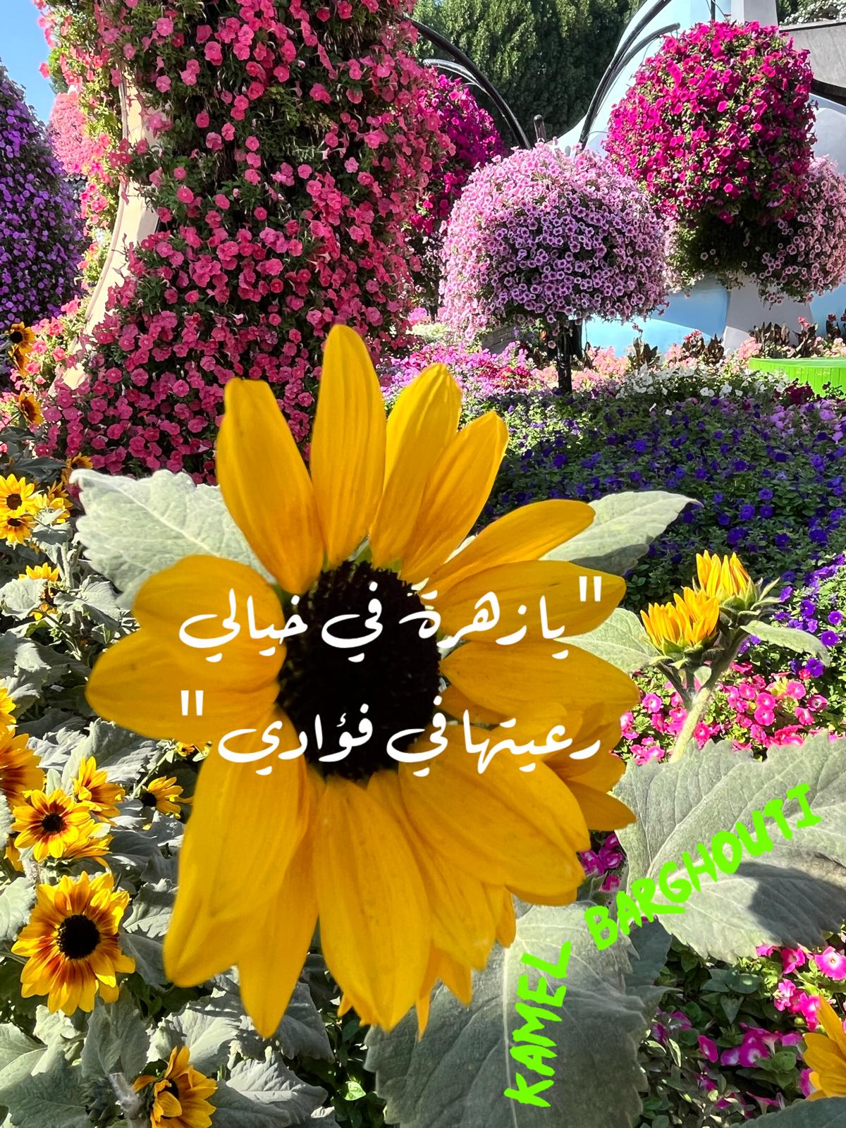 Beautiful Talk – quote 645