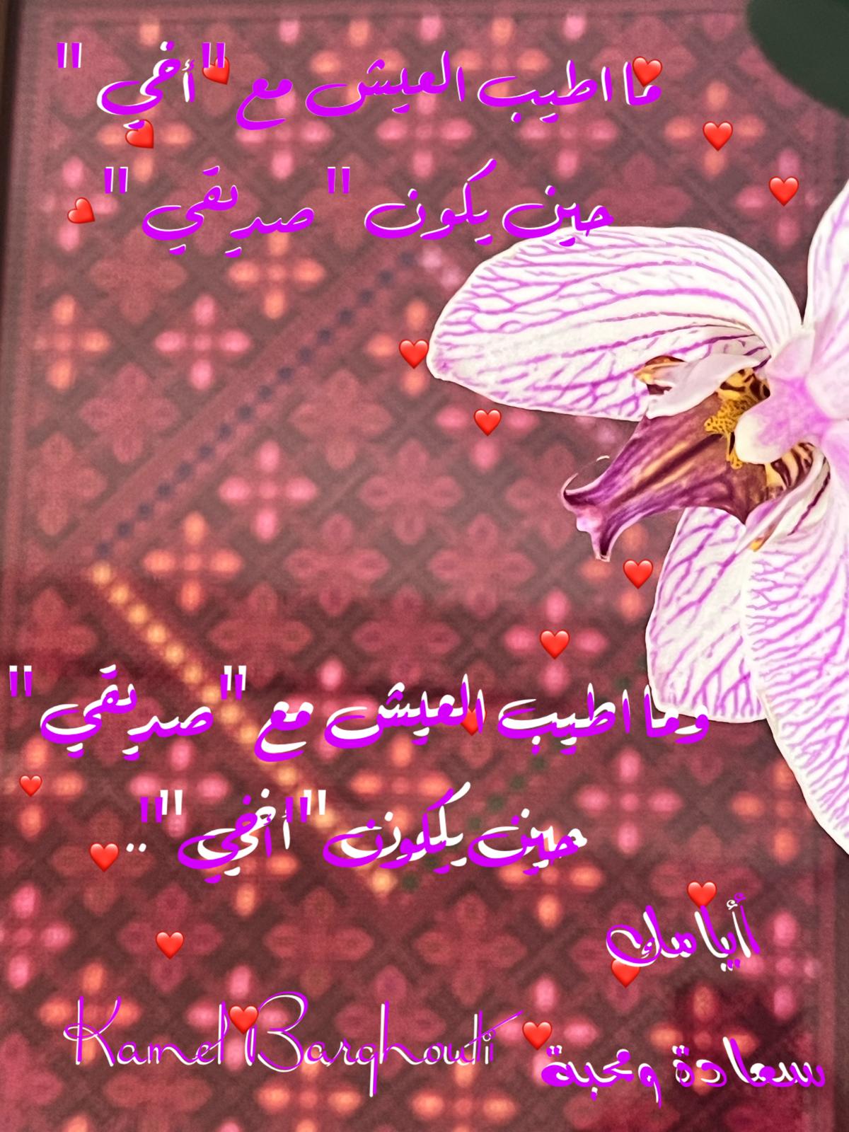 Beautiful Talk – quote 639