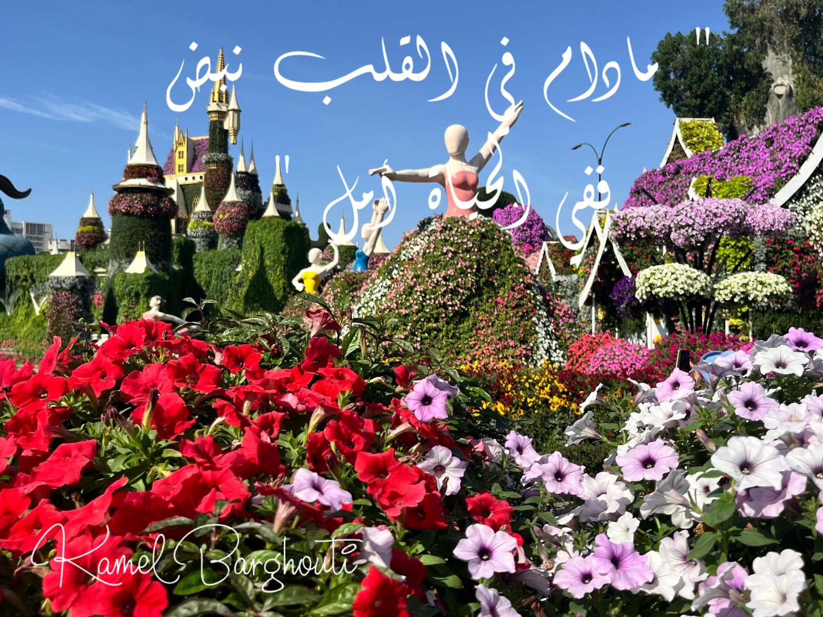 تفاؤل, أمل, وسعادة – اقتباس 406