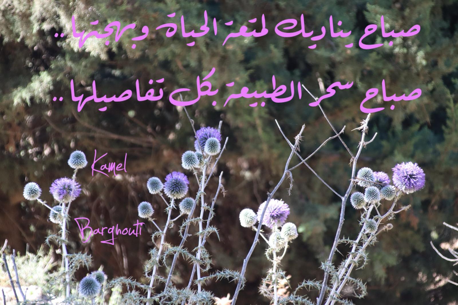 تفاؤل, أمل, وسعادة – اقتباس 391