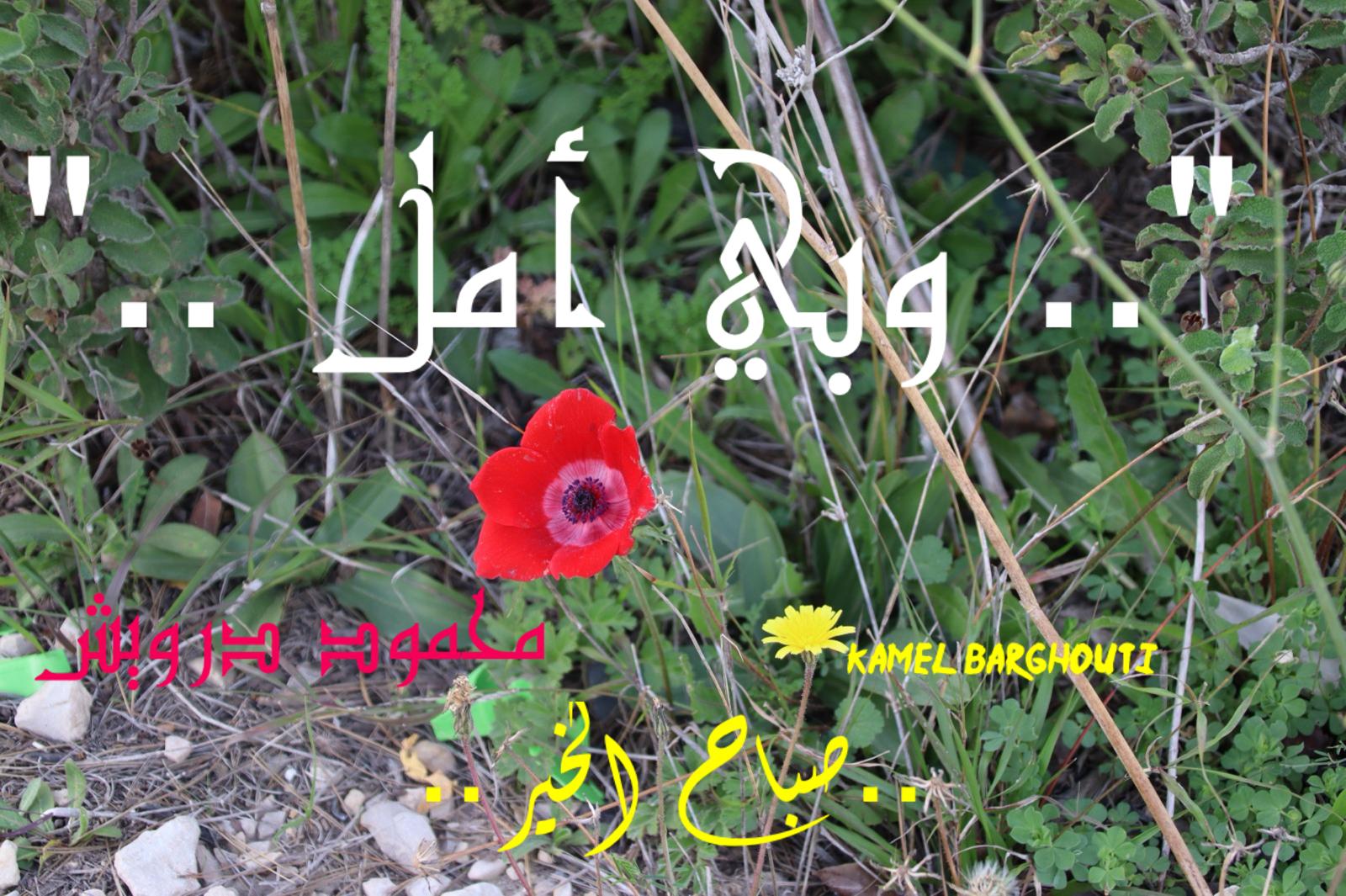 تفاؤل, أمل, وسعادة – اقتباس 398