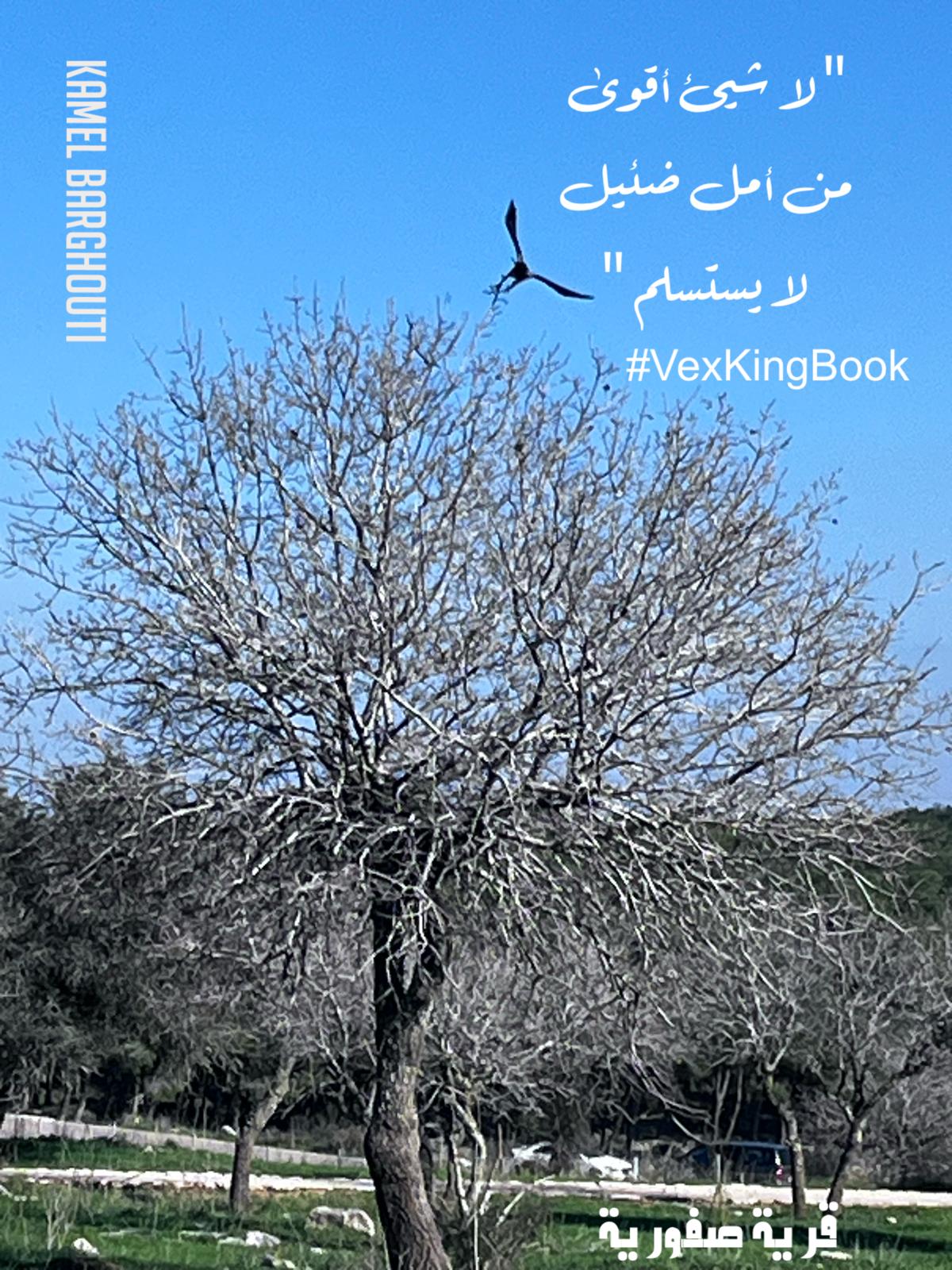 تفاؤل, أمل, وسعادة – اقتباس 390