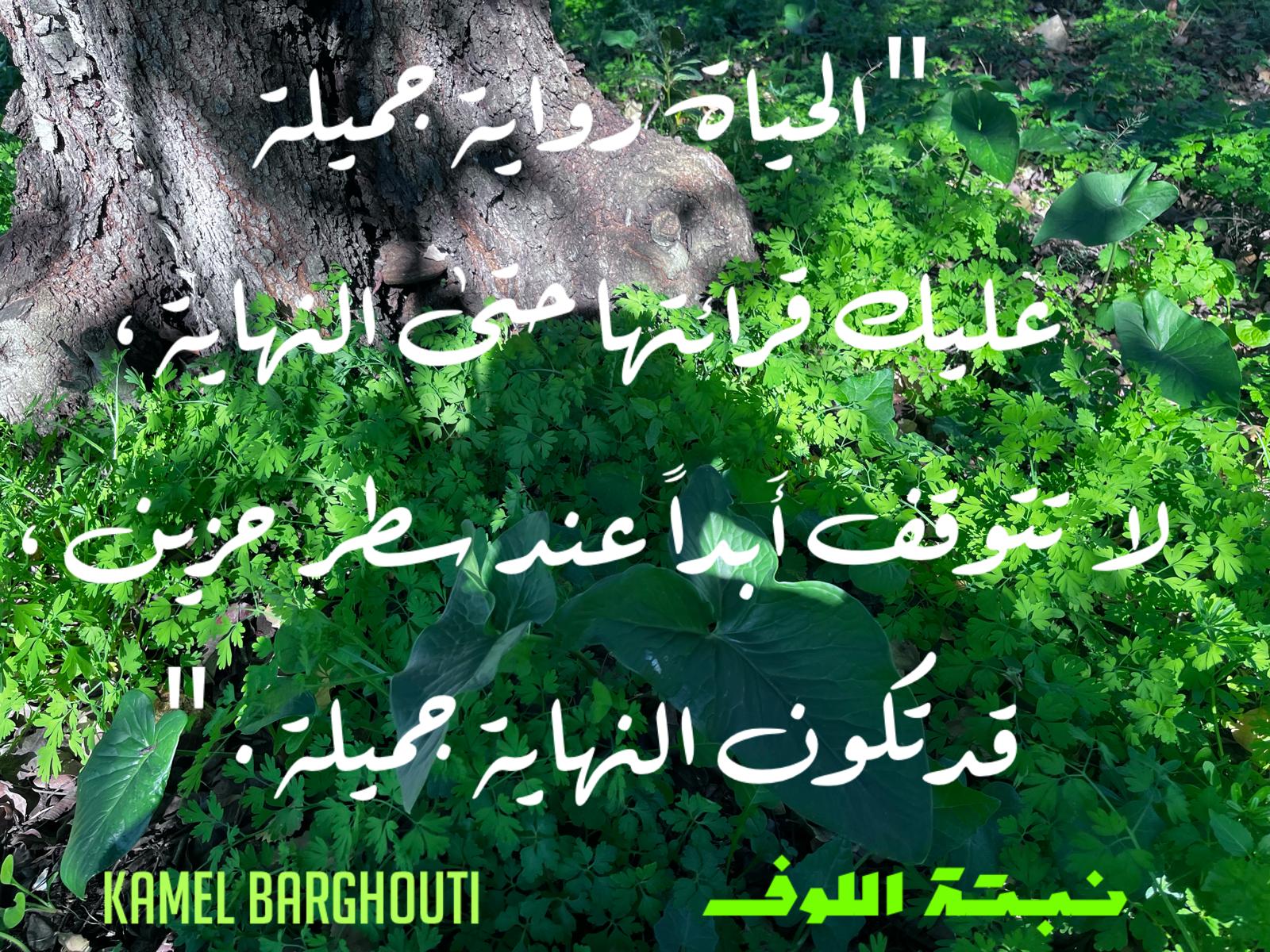 تفاؤل, أمل, وسعادة – اقتباس 392