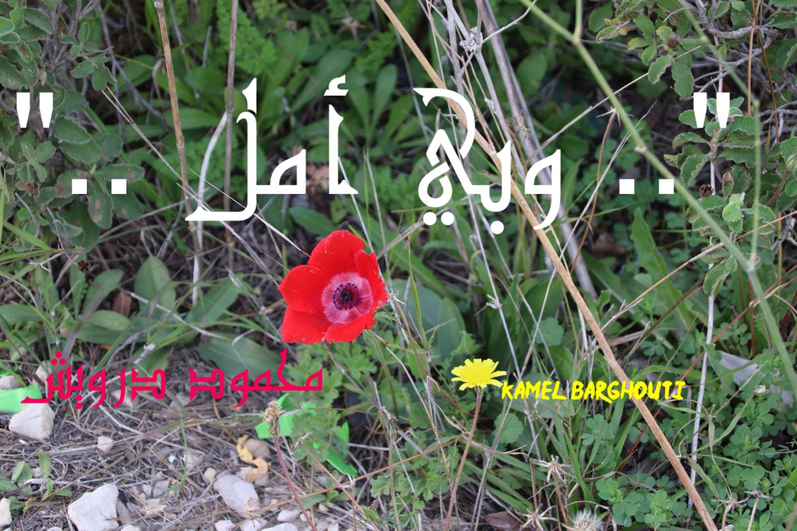 تفاؤل, أمل, وسعادة – اقتباس 394