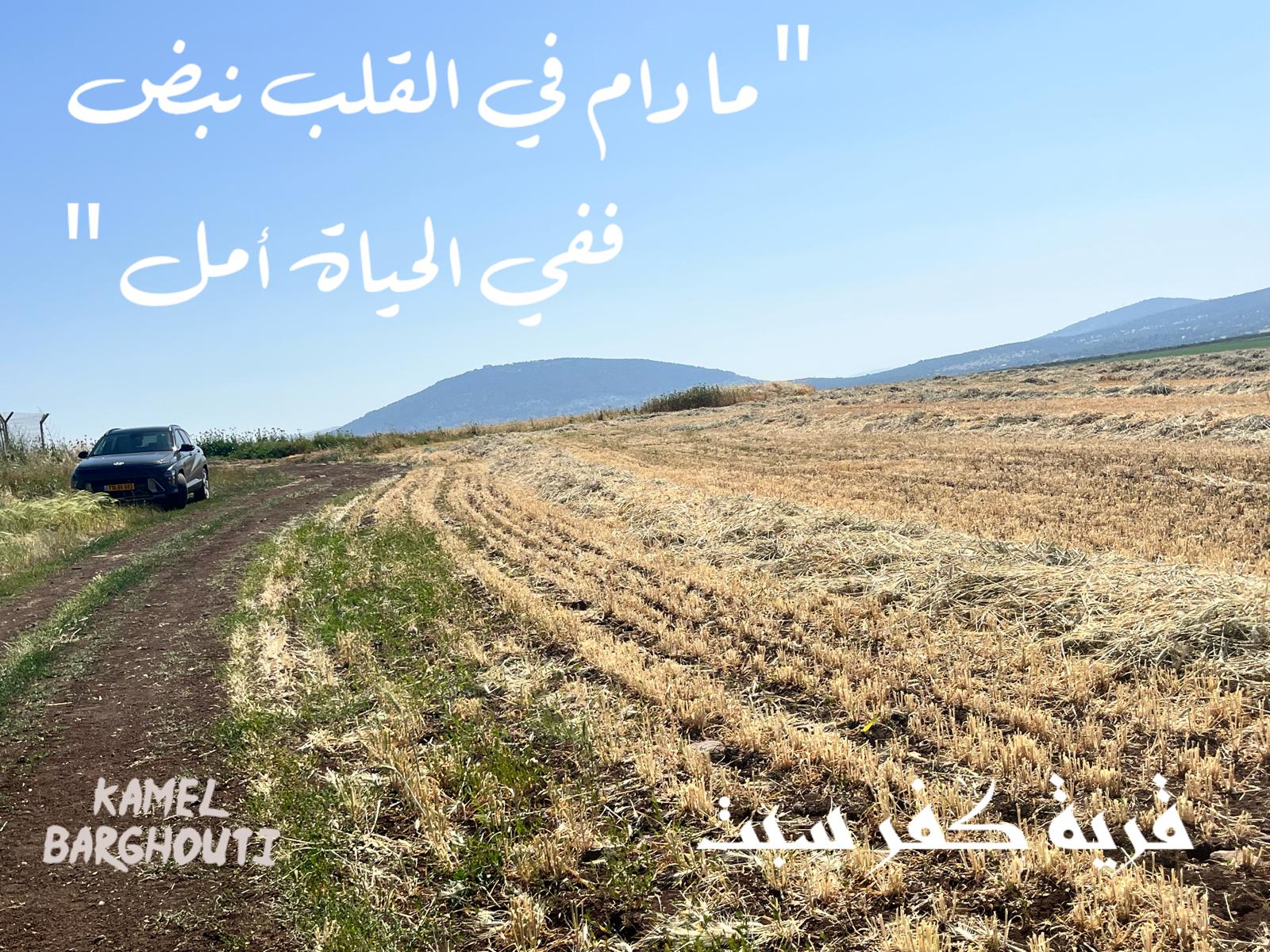 تفاؤل, أمل, وسعادة – اقتباس 386