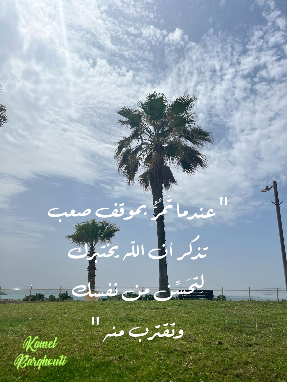 تفاؤل, أمل, وسعادة – اقتباس 387