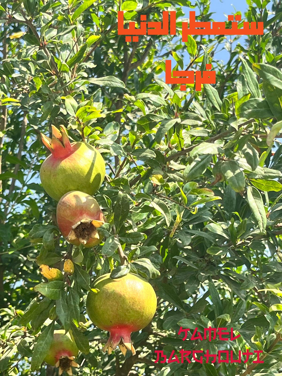 تفاؤل, أمل, وسعادة – اقتباس 388