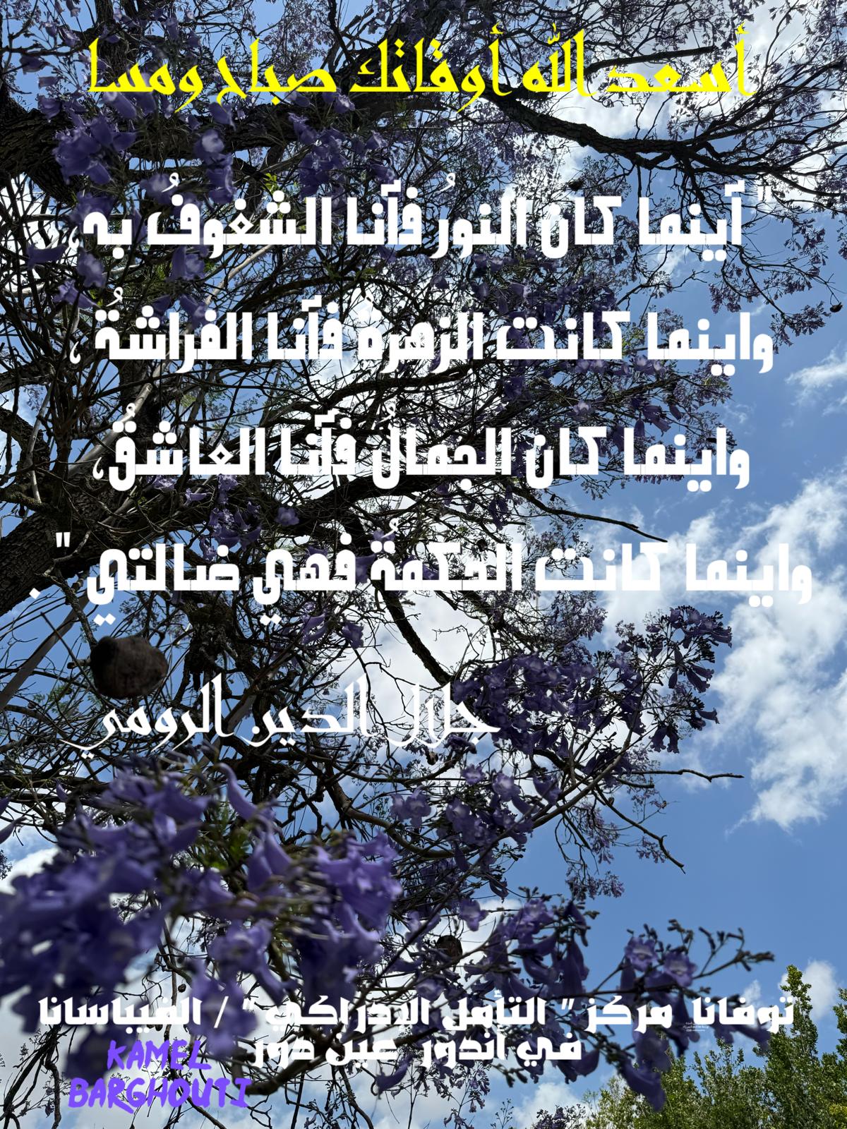Beautiful Talk – quote 605