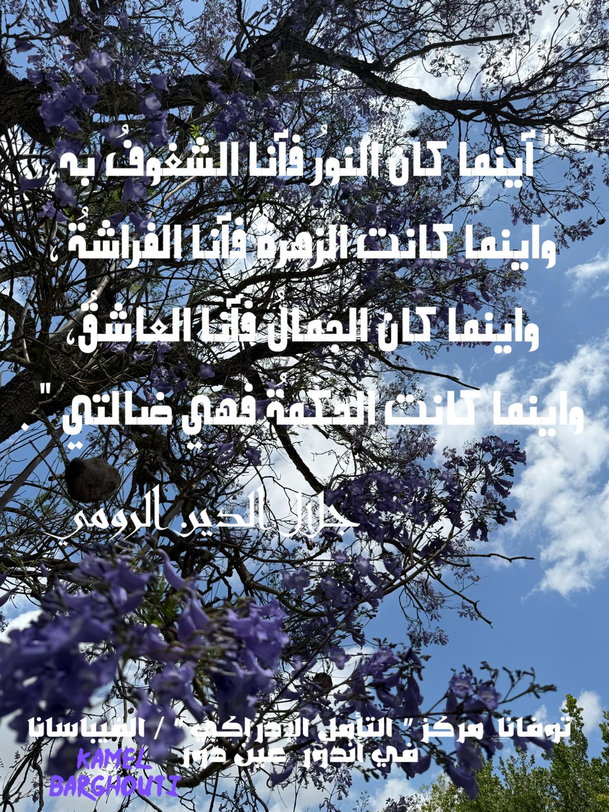 Beautiful Talk – quote 602