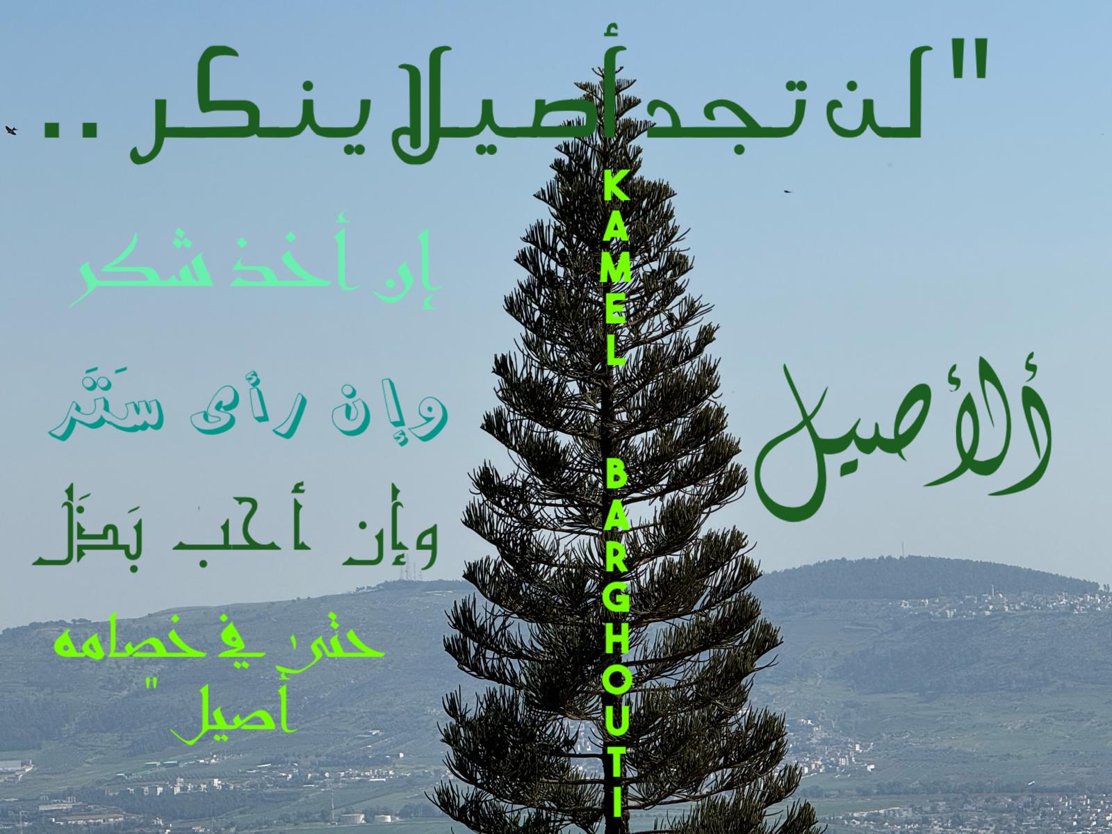 Beautiful Talk – quote 595