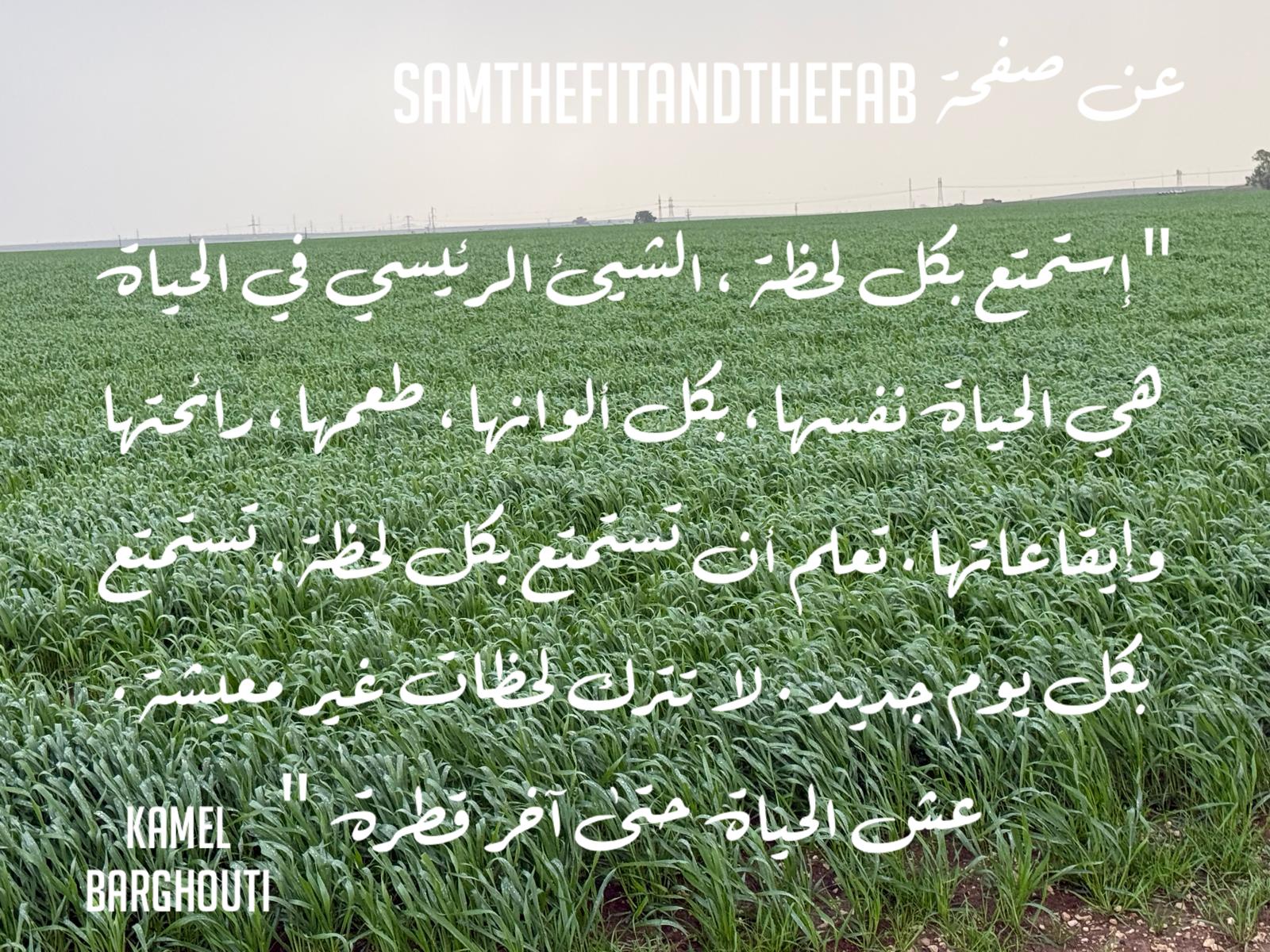 تفاؤل, أمل, وسعادة – اقتباس 376