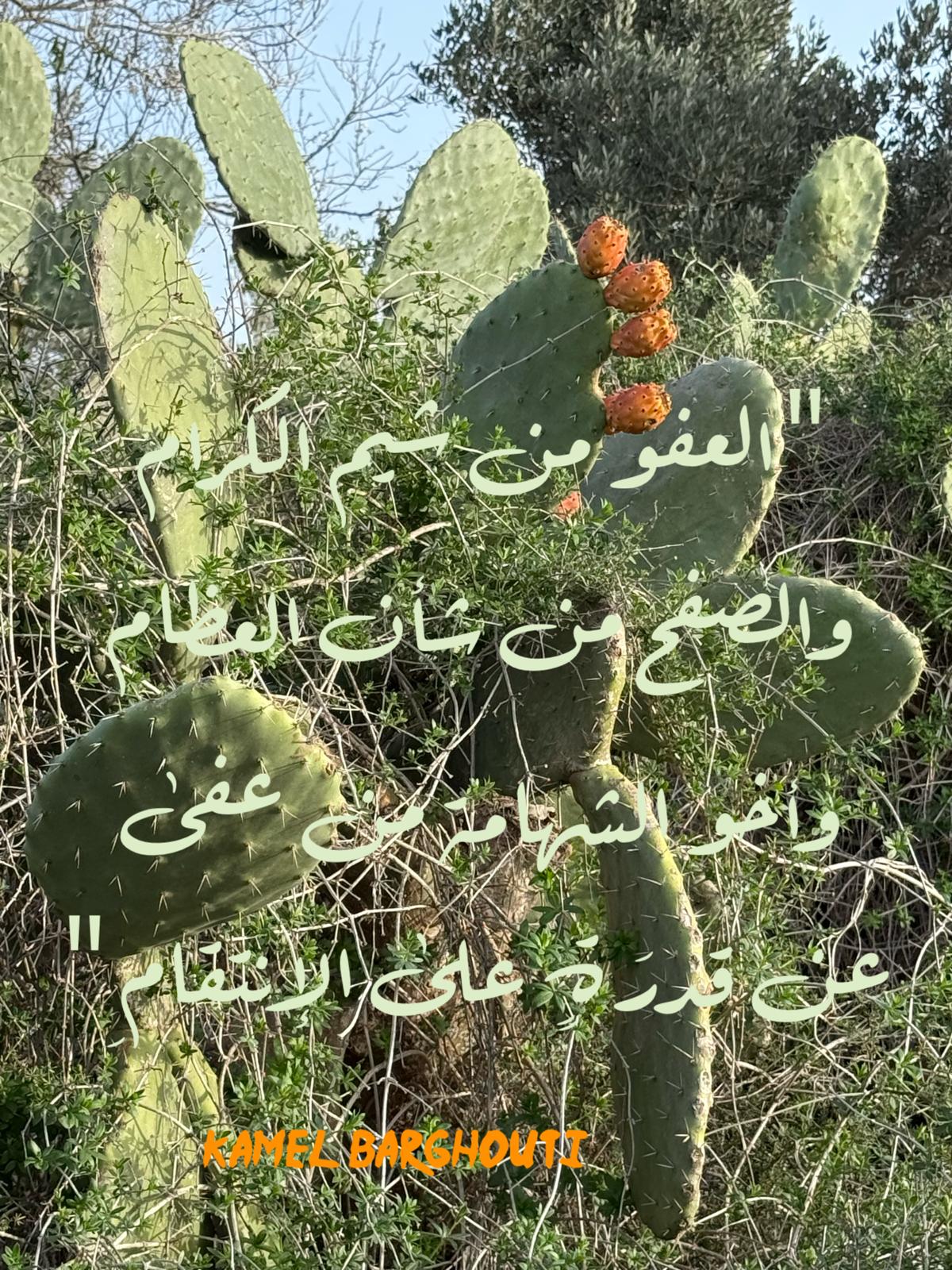 סובלנות – ציטוט 24