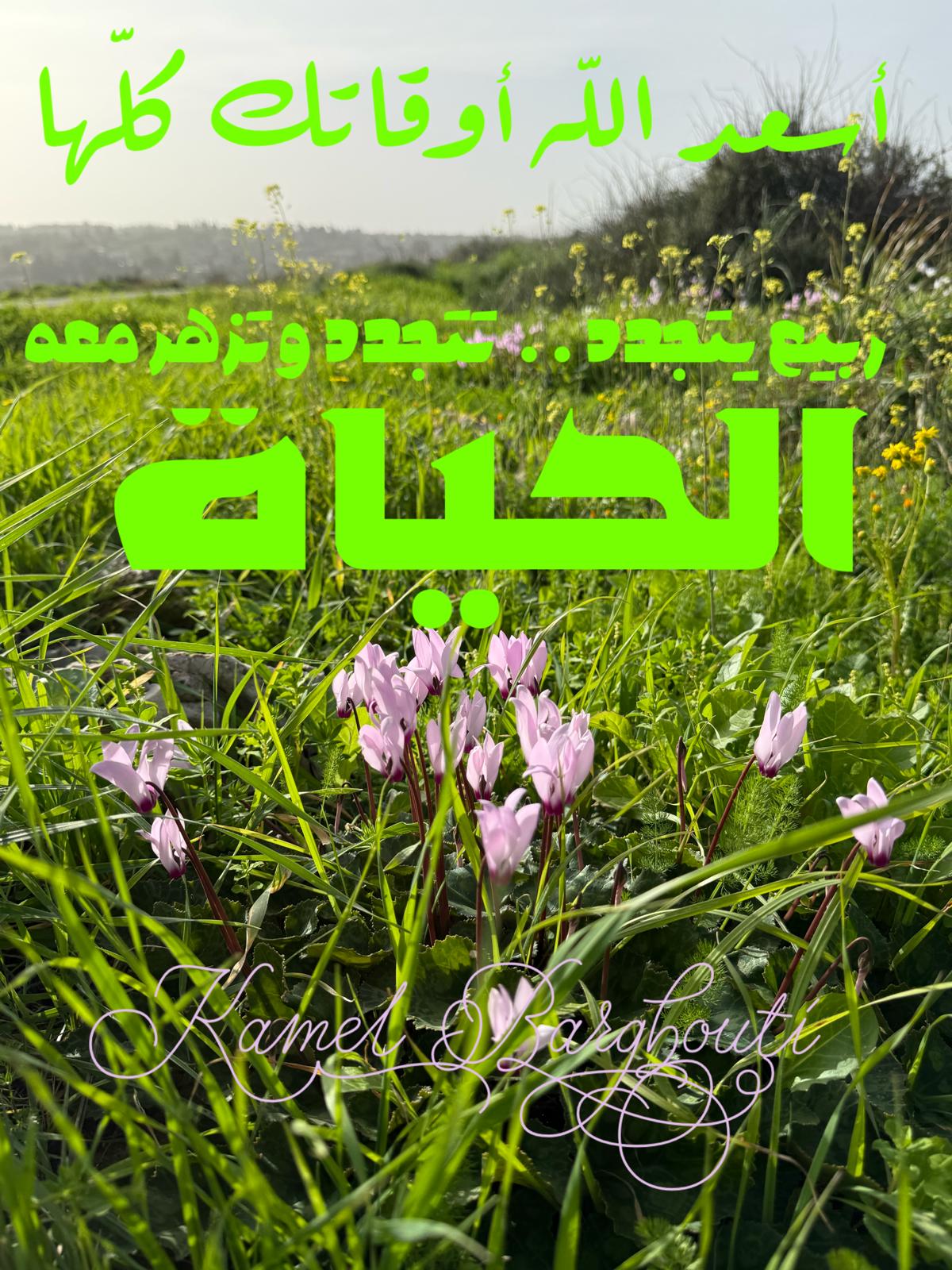 ברכות ואיחולים – ציטוט 27
