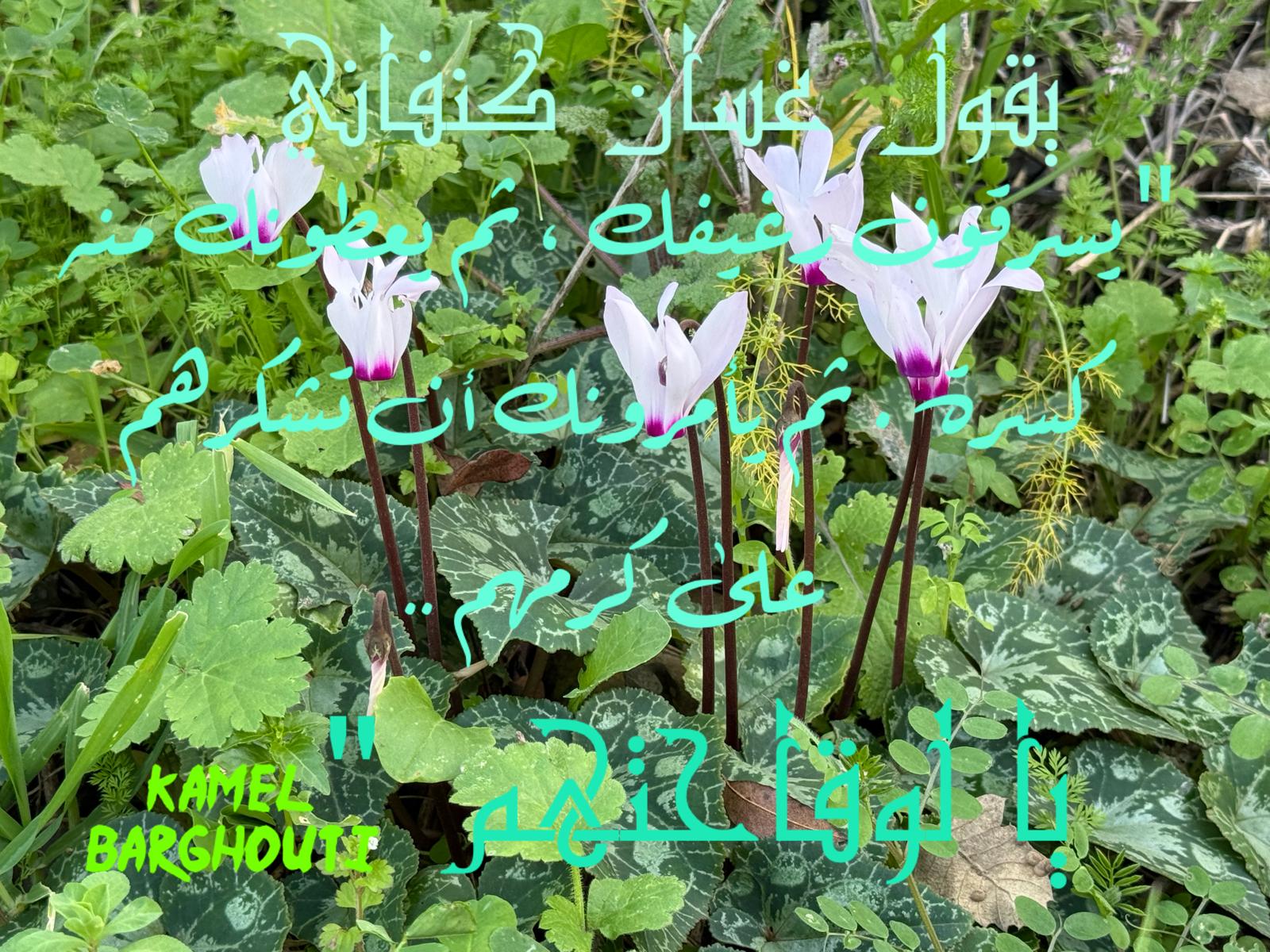 Beautiful Talk – quote 538
