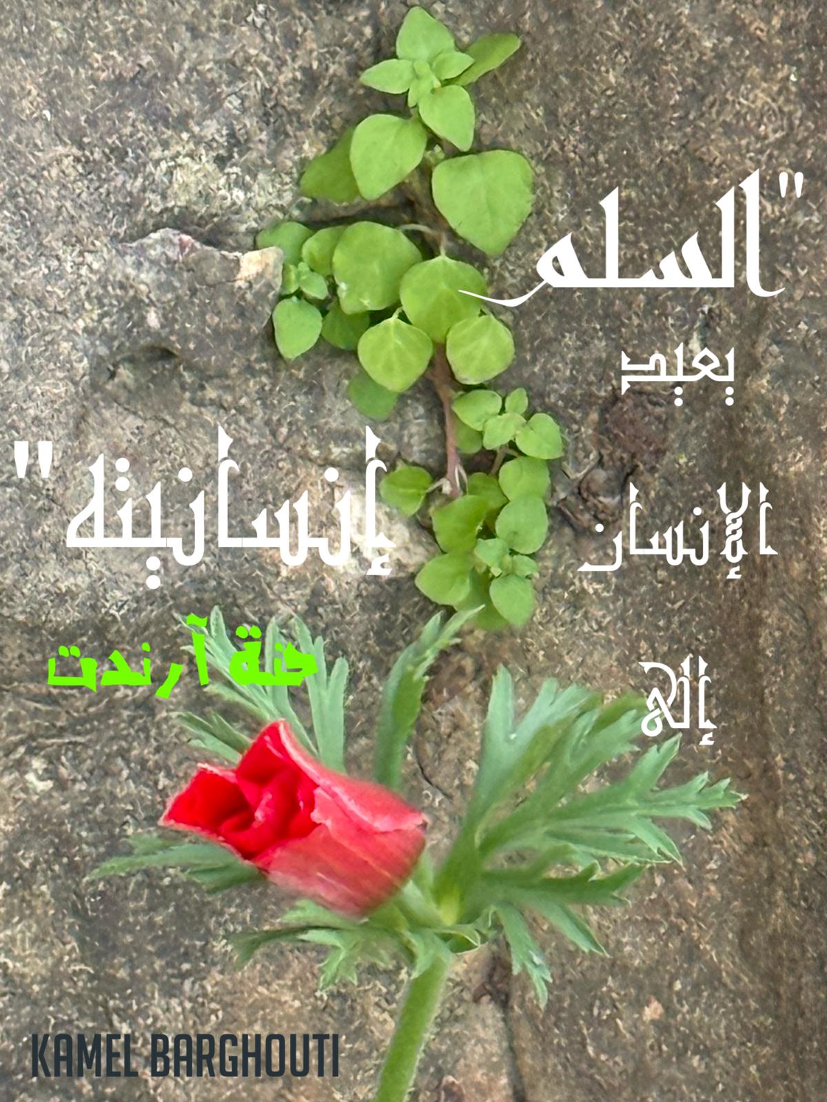 Beautiful Talk – quote 532
