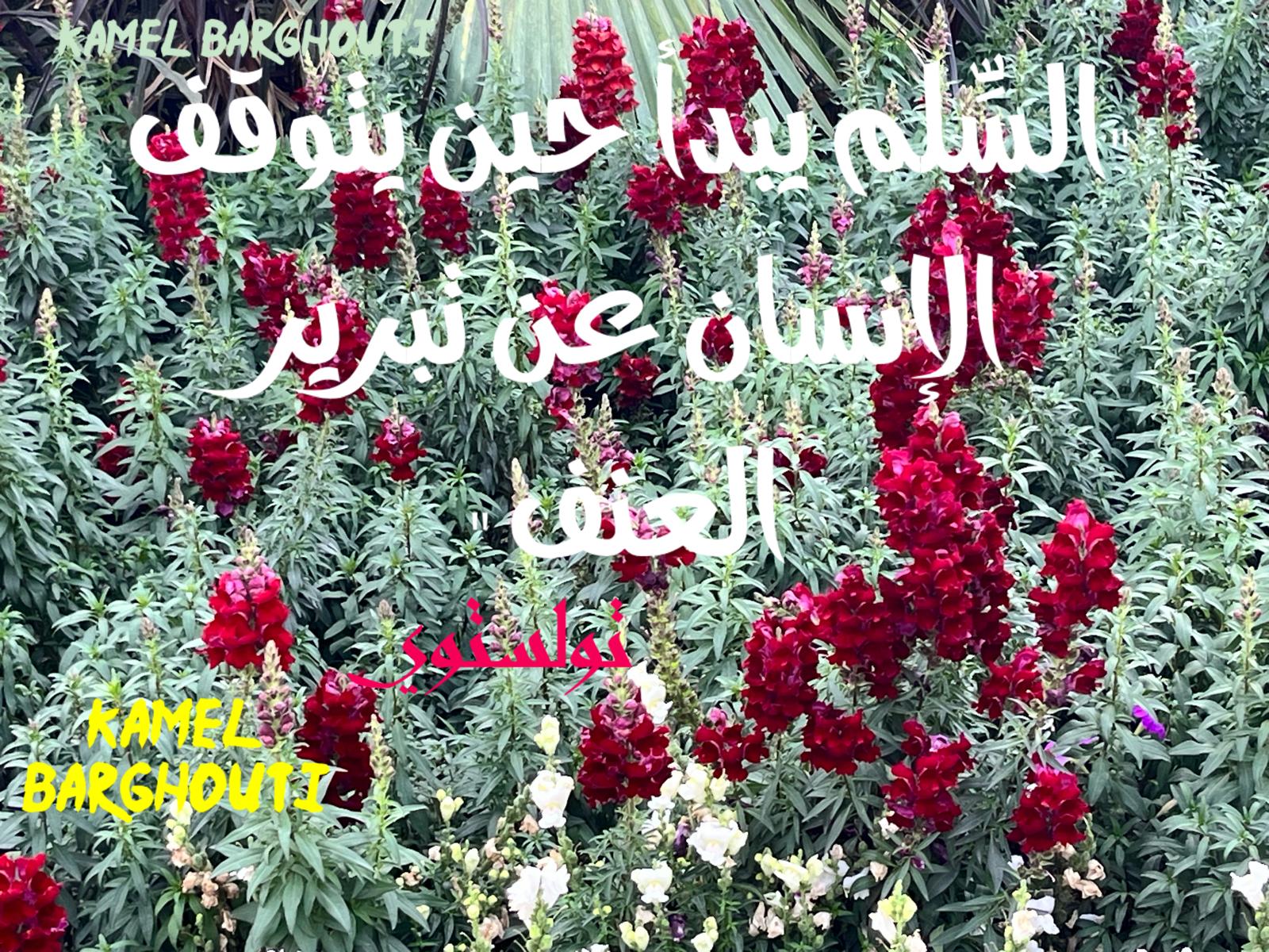Beautiful Talk – quote 527