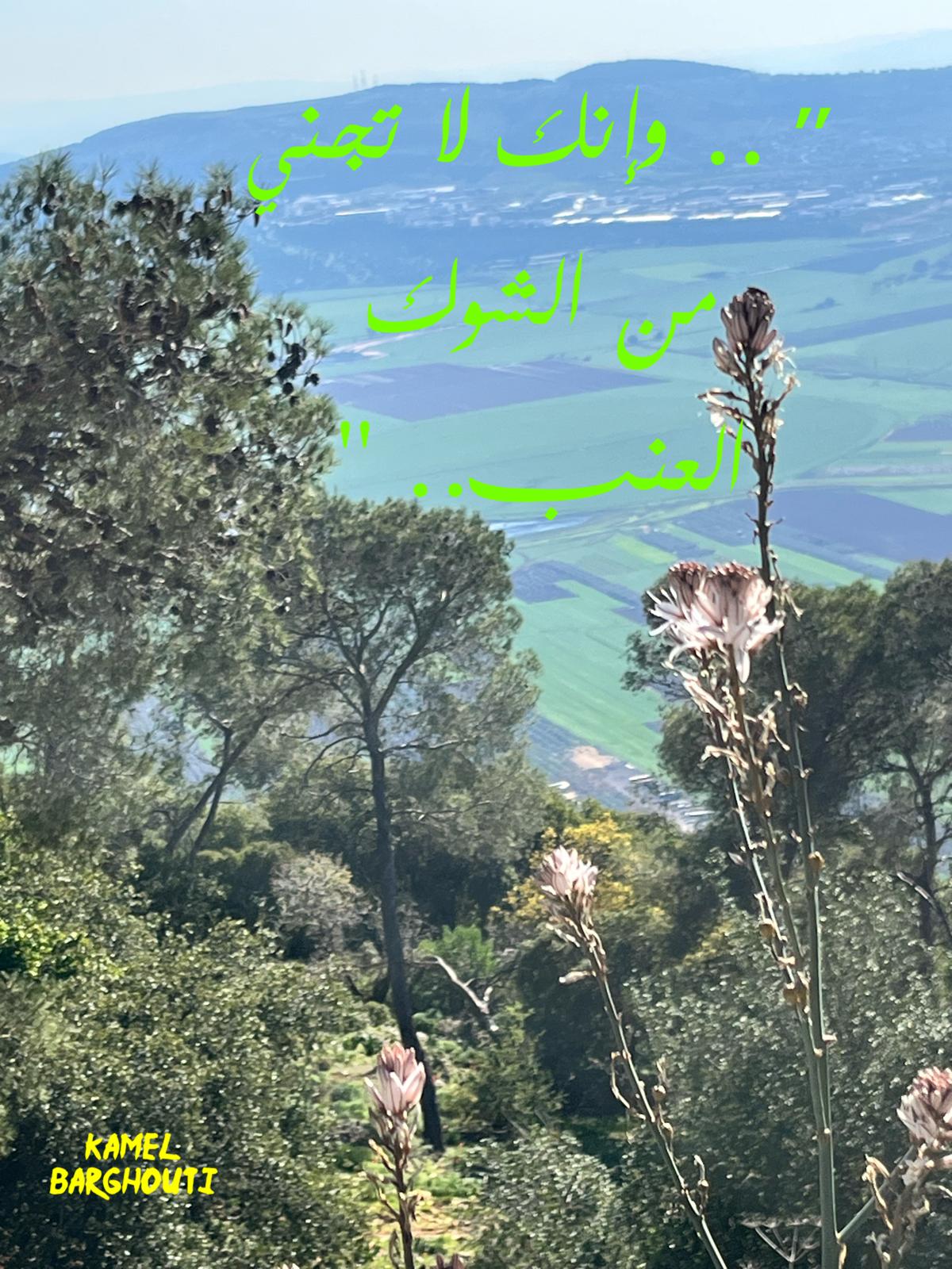 פתגמים מקומיים – ציטוט 94