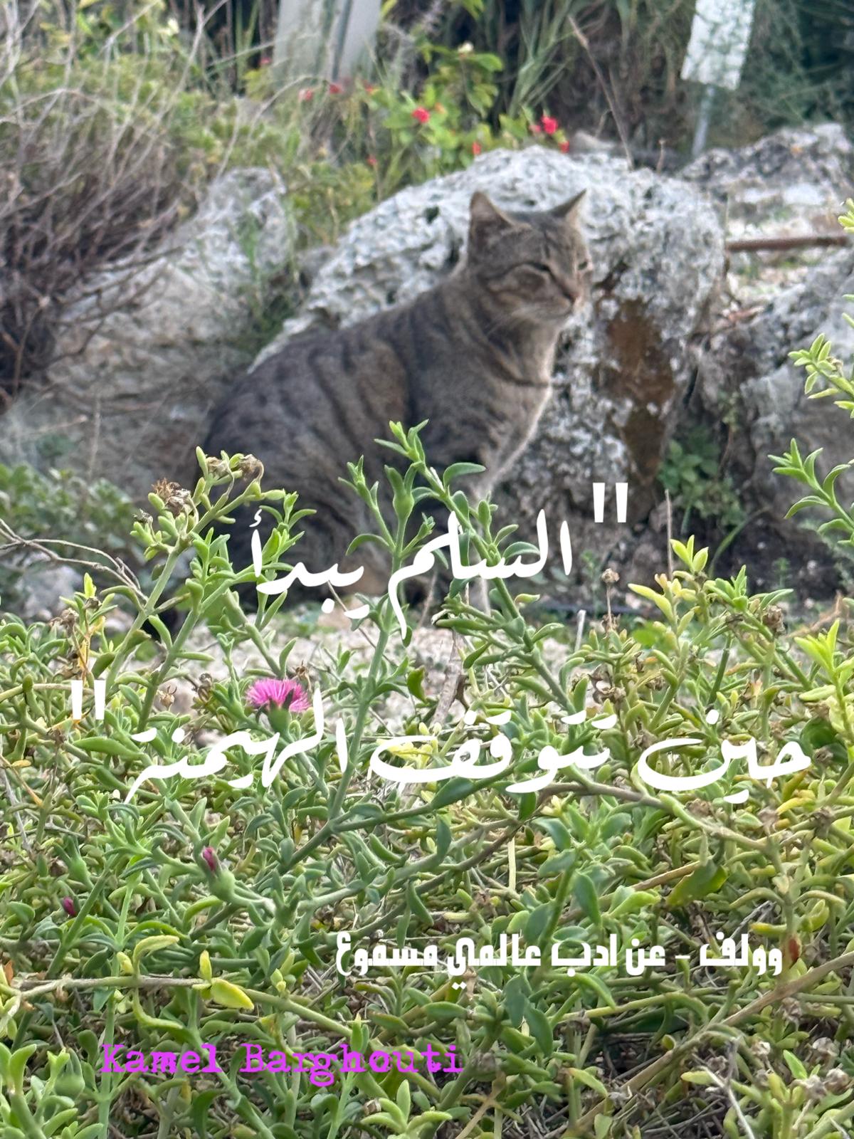 Beautiful Talk – quote 522