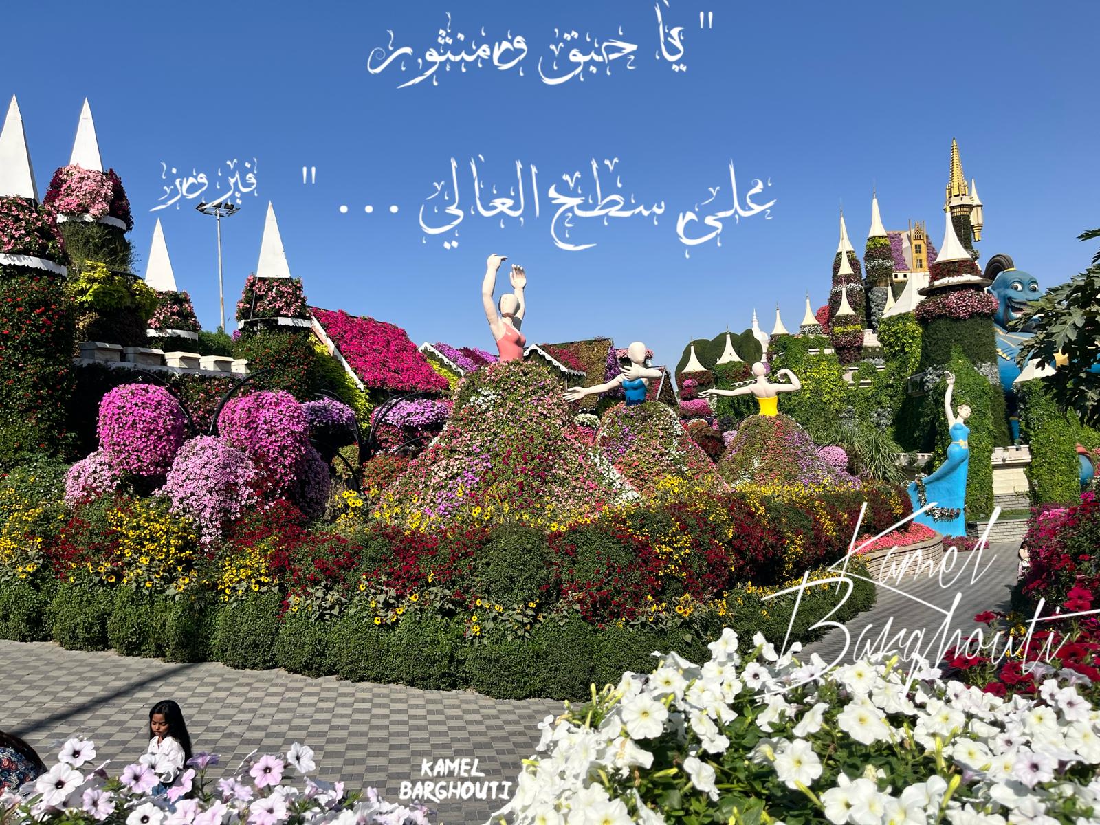 تفاؤل, أمل, وسعادة – اقتباس 369