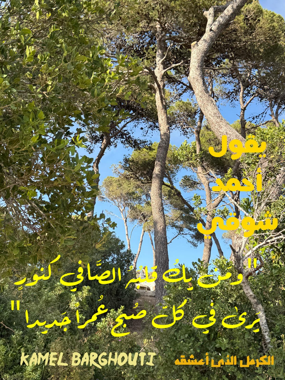تفاؤل, أمل, وسعادة – اقتباس 365