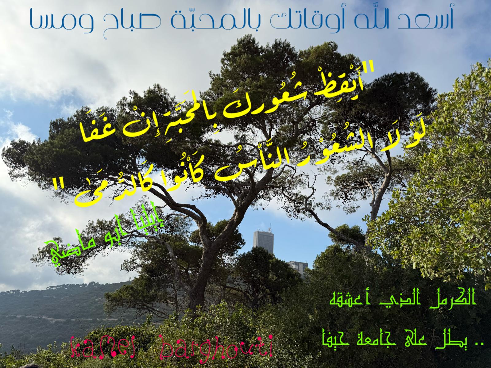 تفاؤل, أمل, وسعادة – اقتباس 364