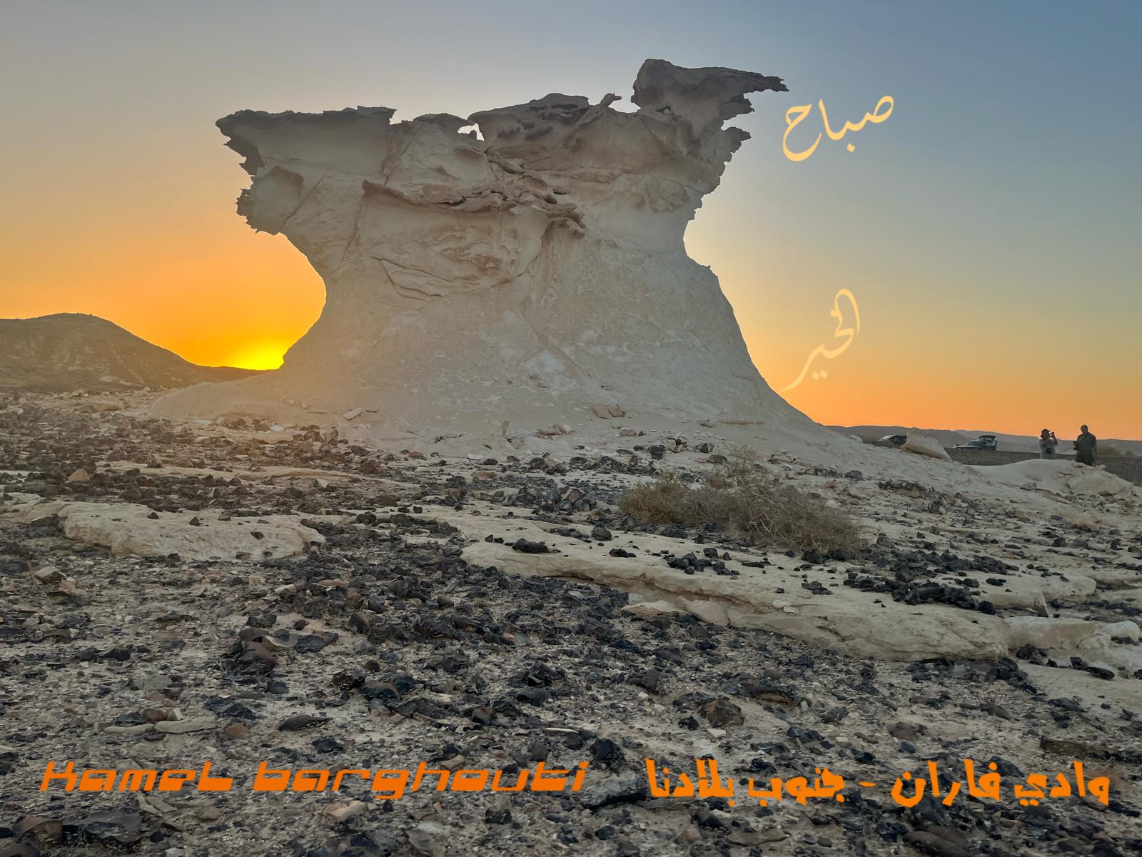 Good Morning – quote 97