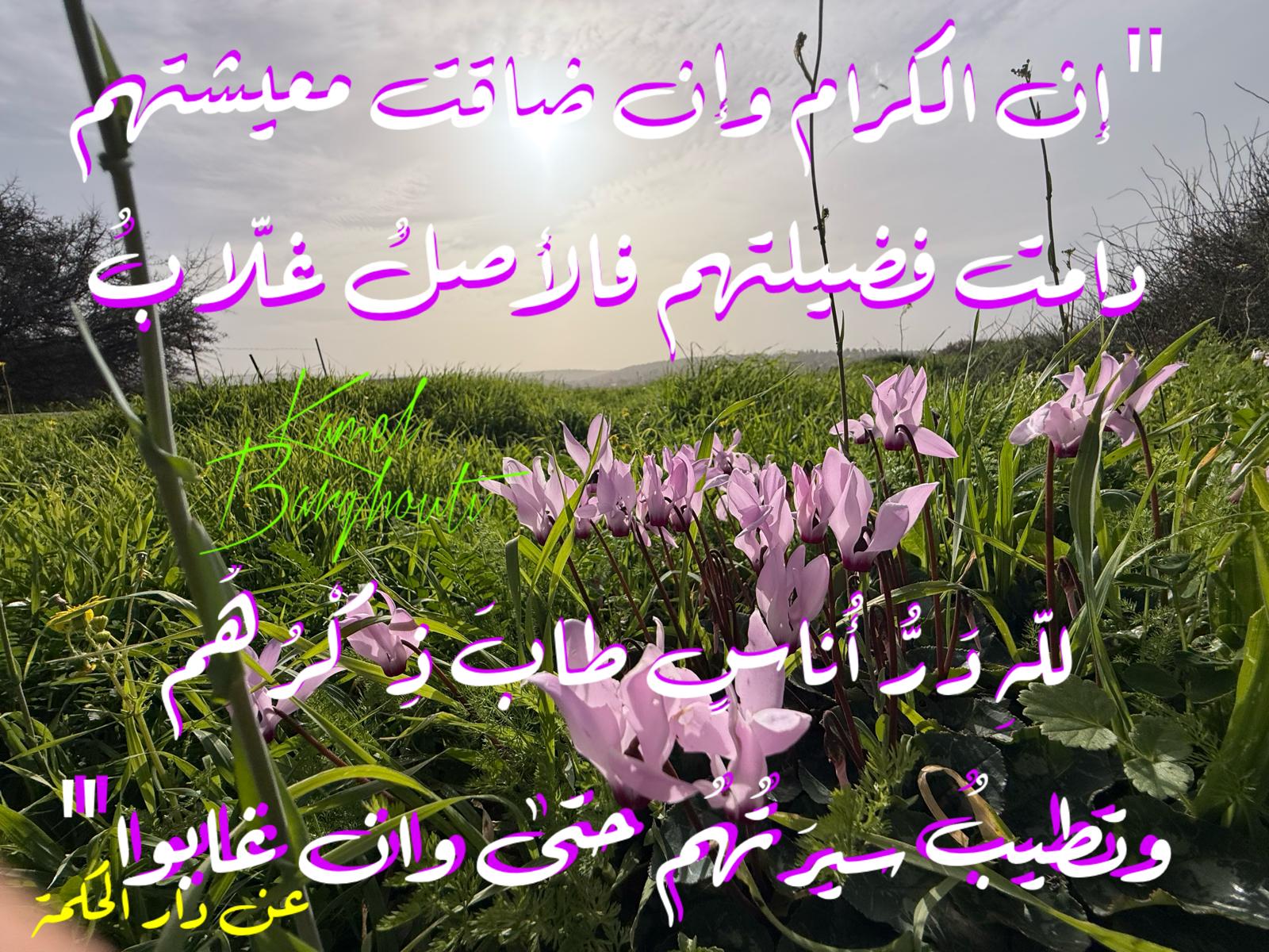 Beautiful Talk – quote 511
