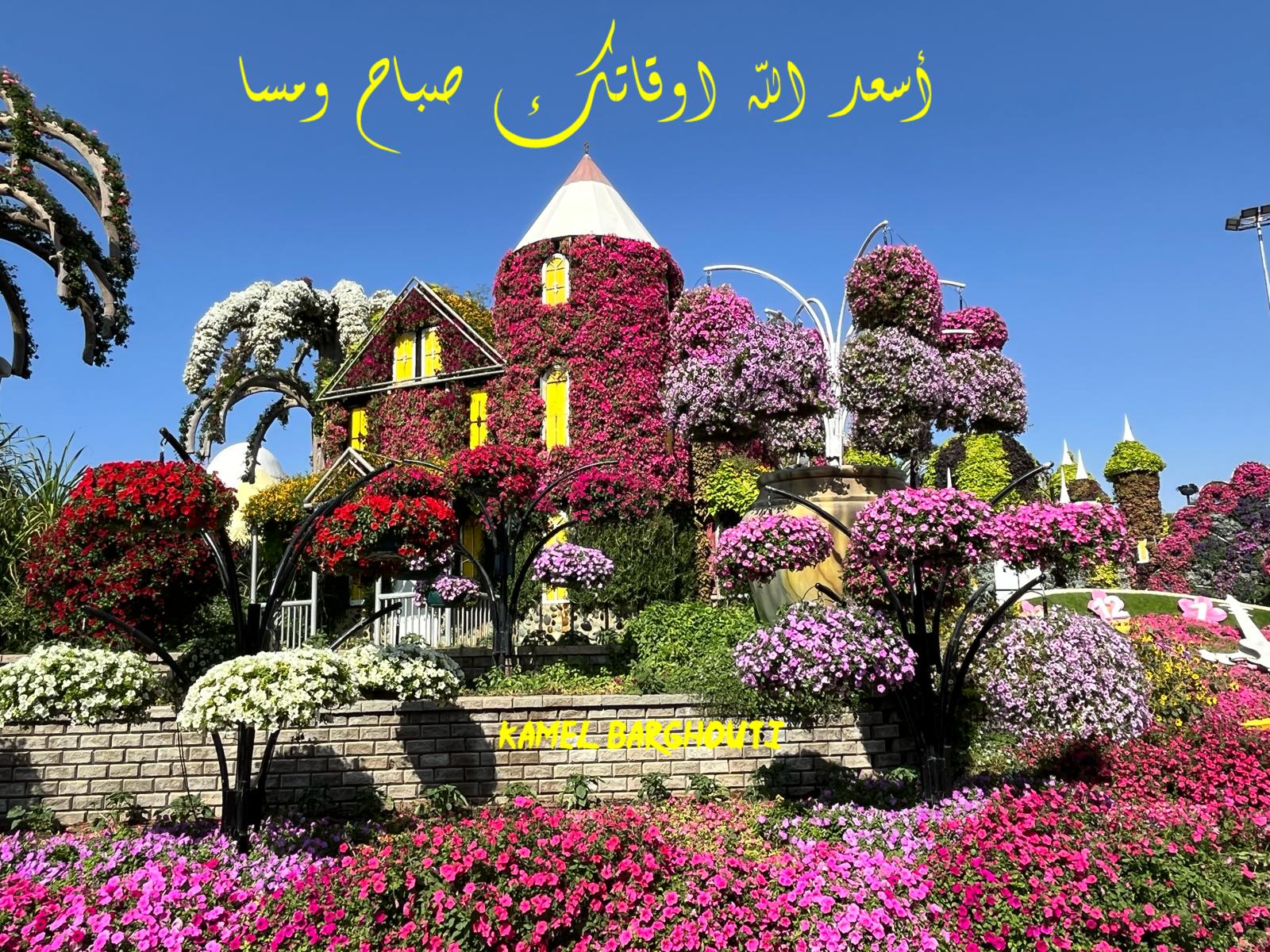 ברכות ואיחולים – ציטוט 26