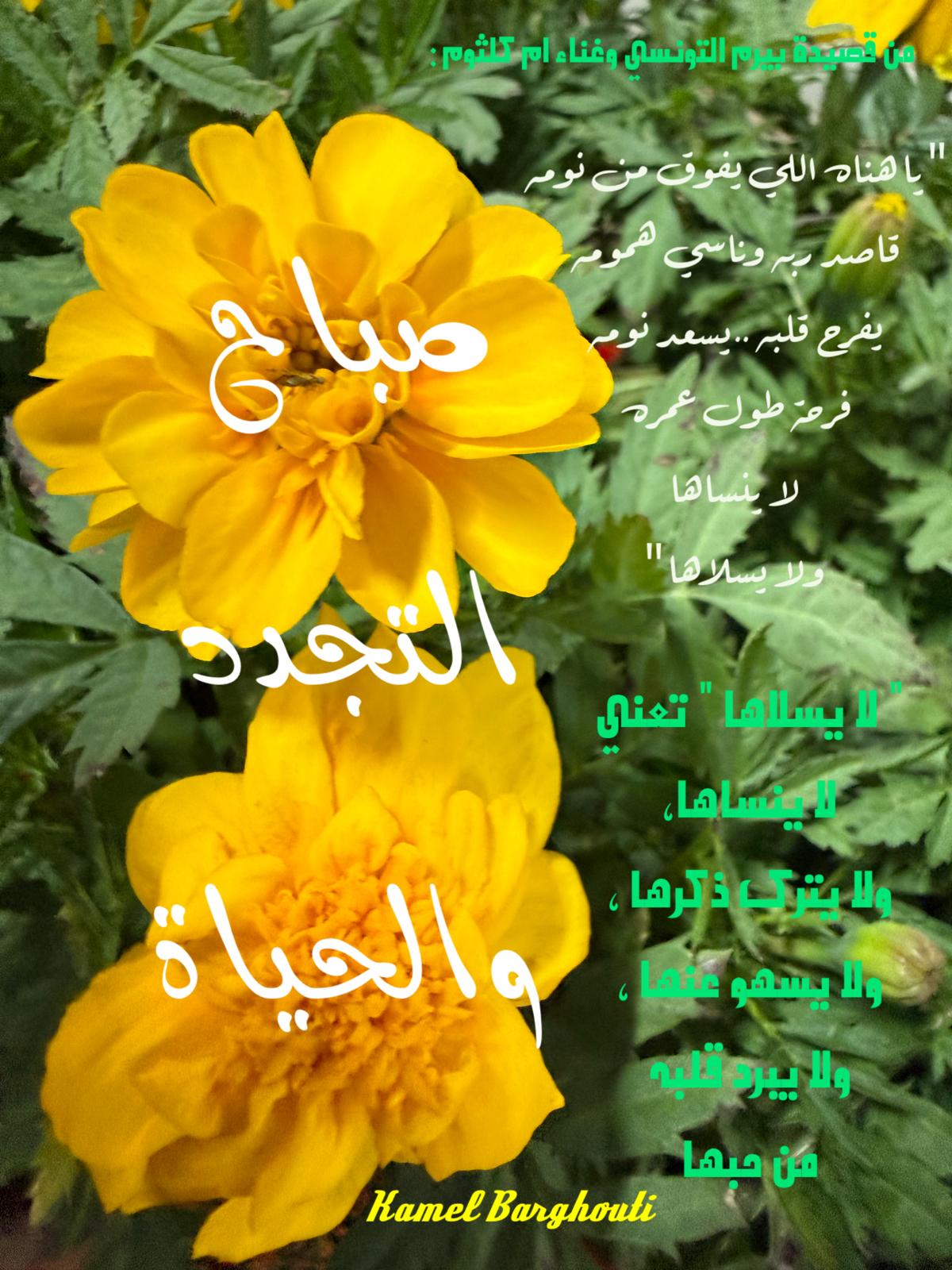 Good Morning – quote 93