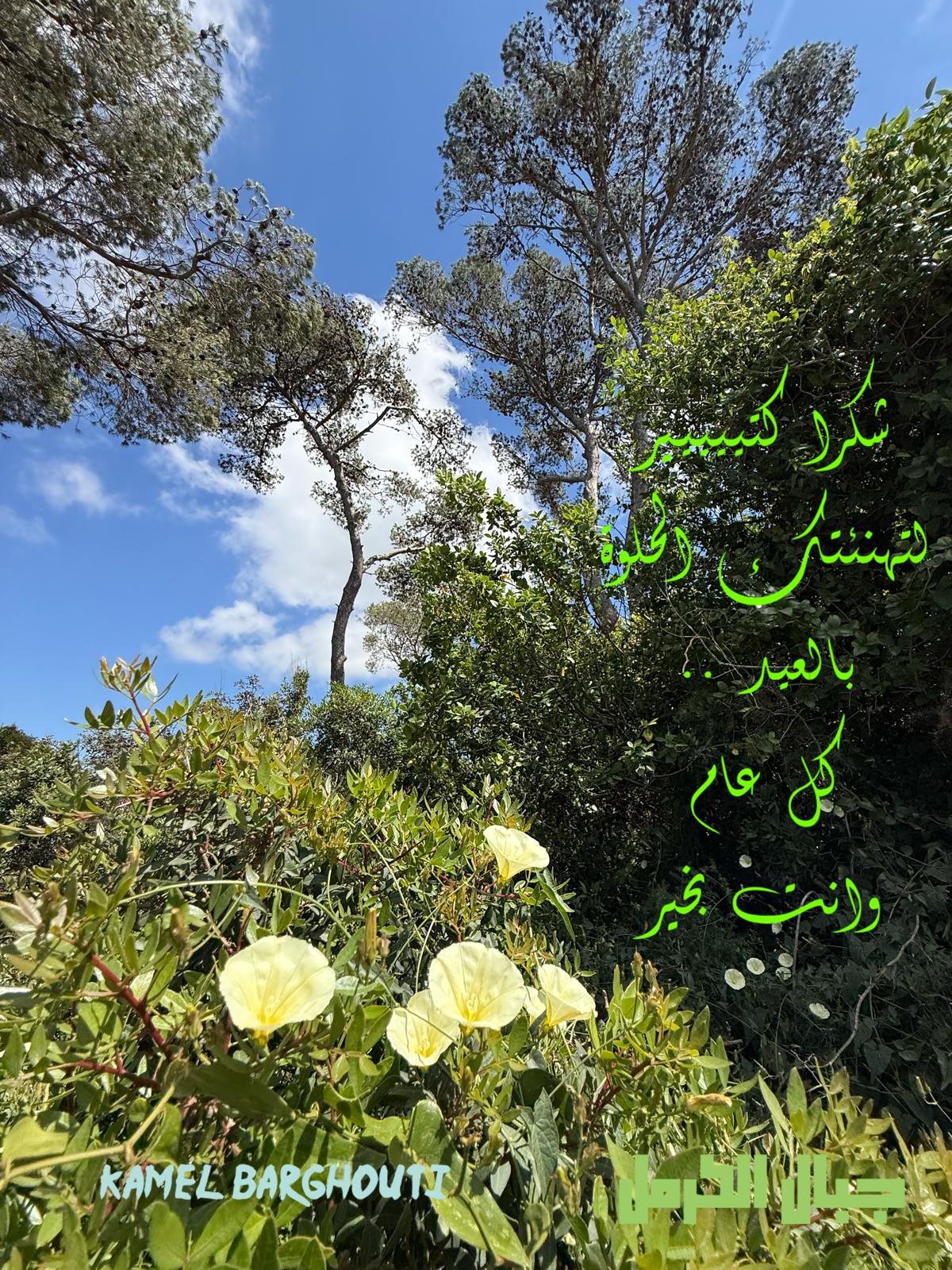 ברכות לחגים – ציטוט 5