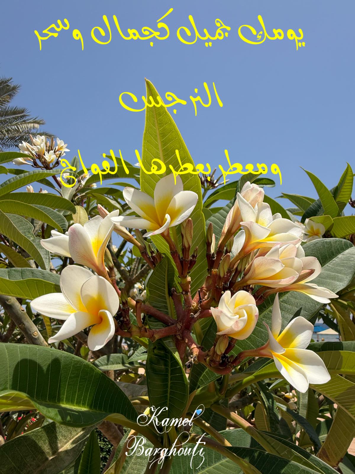ברכות ואיחולים – ציטוט 22